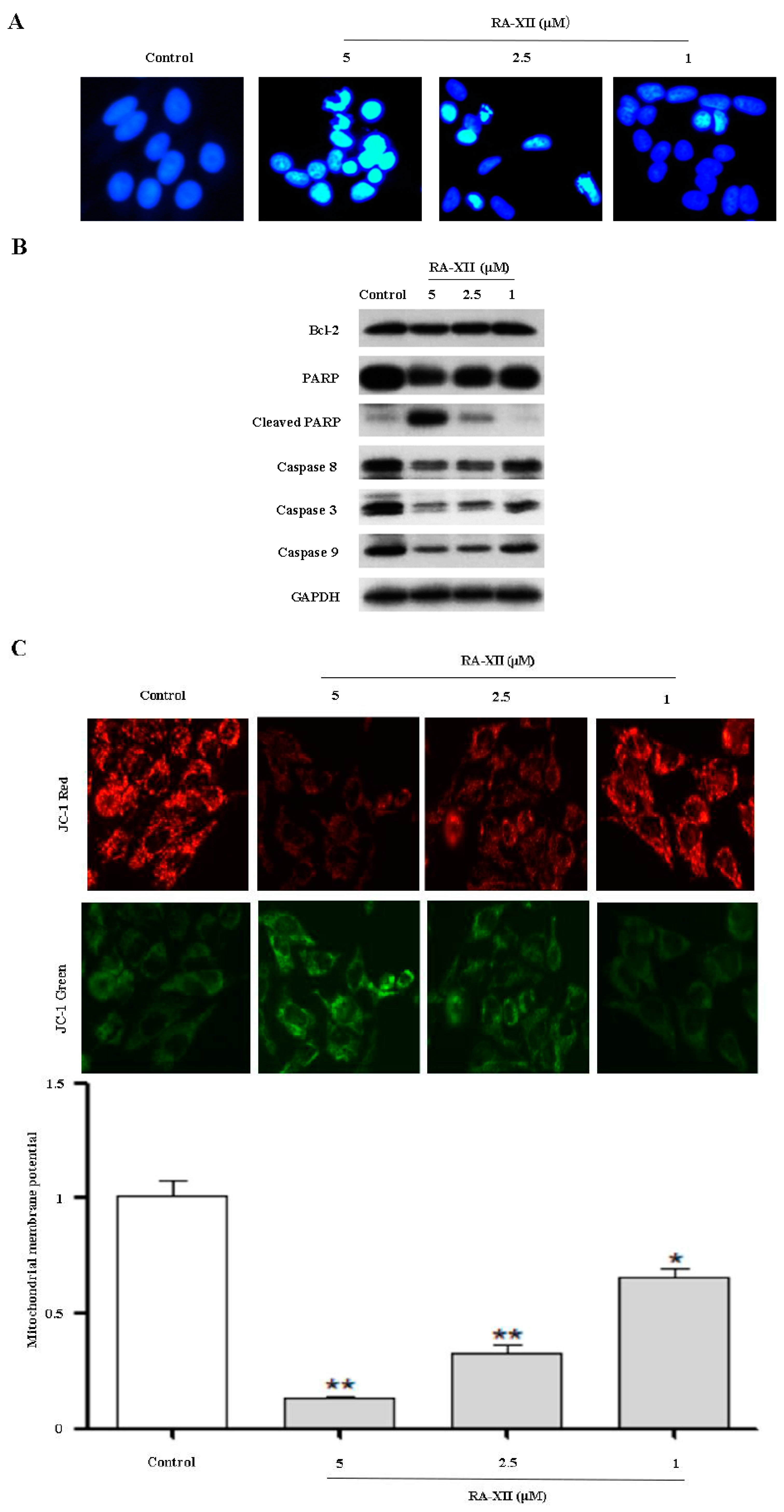 Molecules 22 01934 g002a