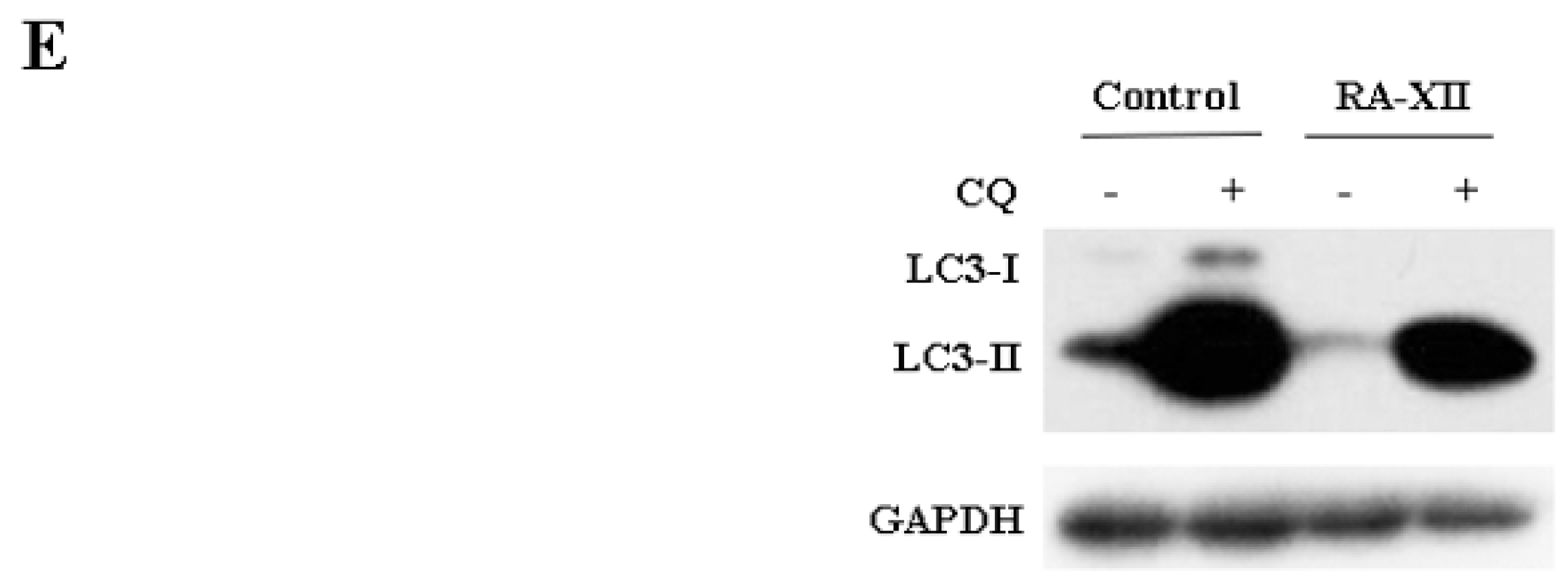 Molecules 22 01934 g003b