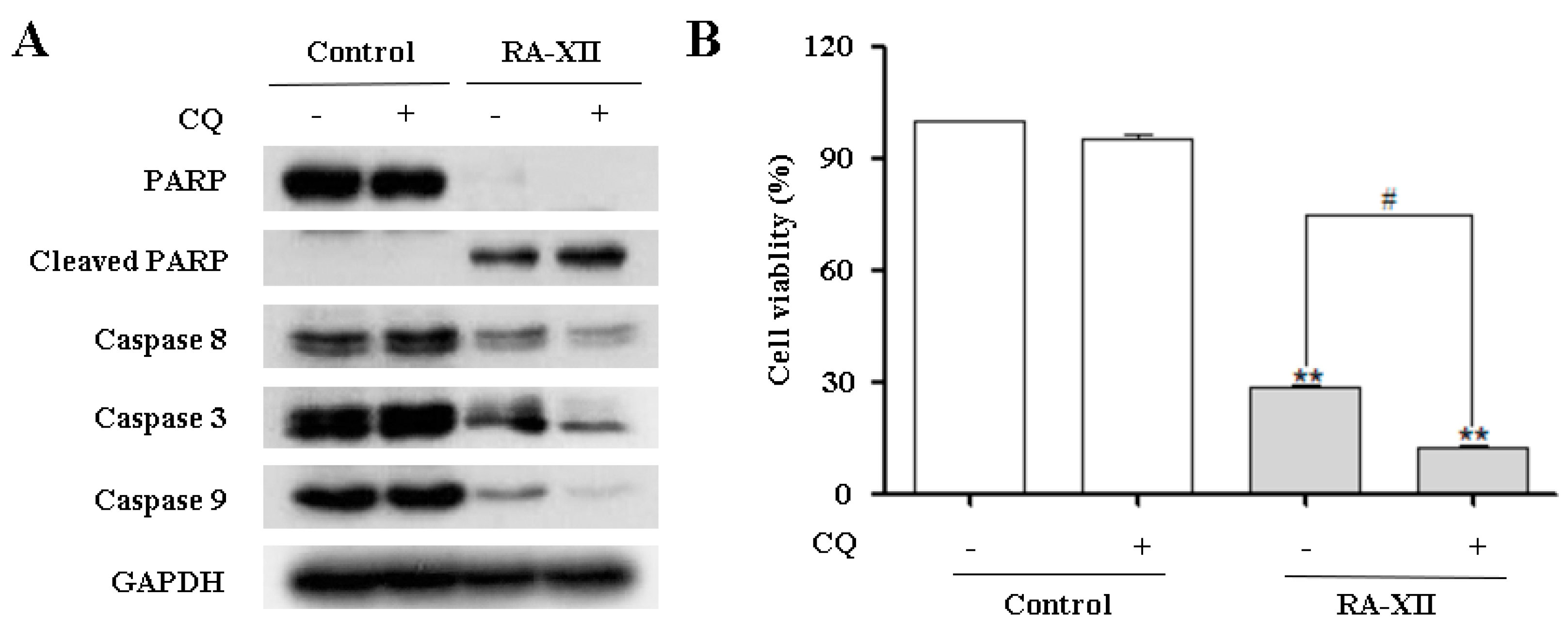 Molecules 22 01934 g004