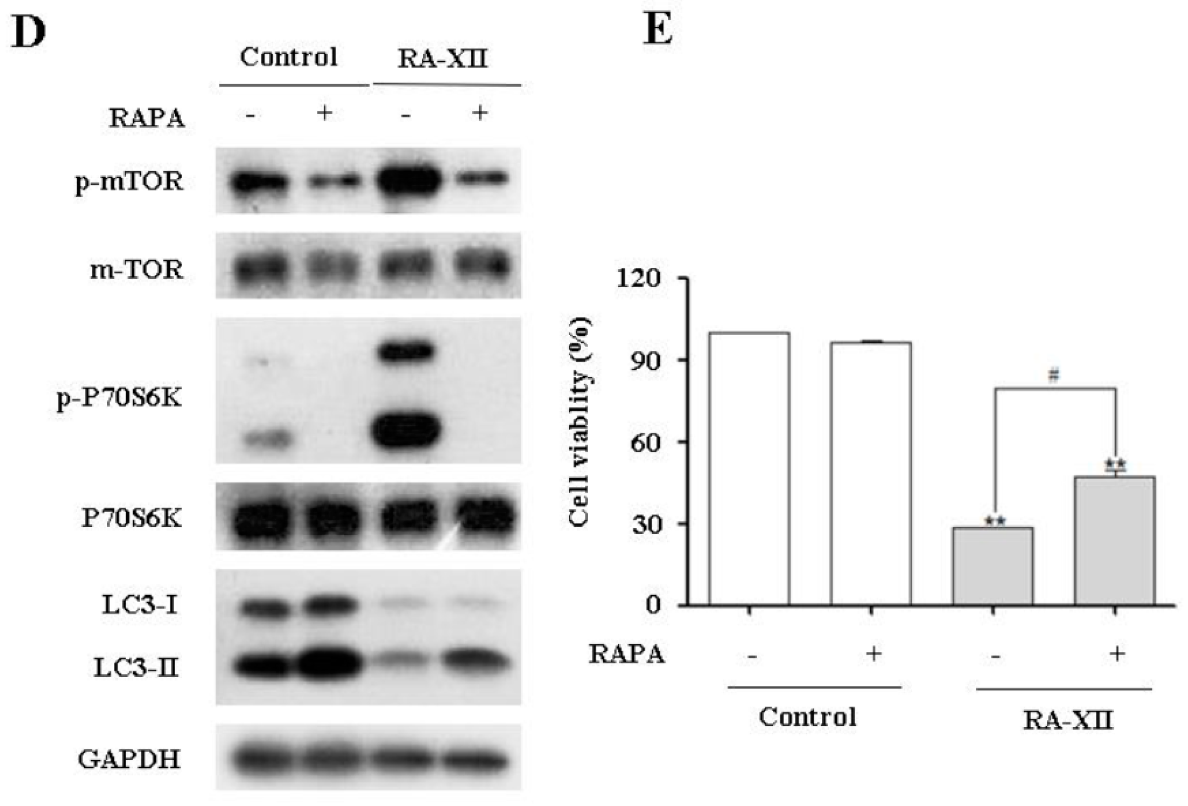 Molecules 22 01934 g005b