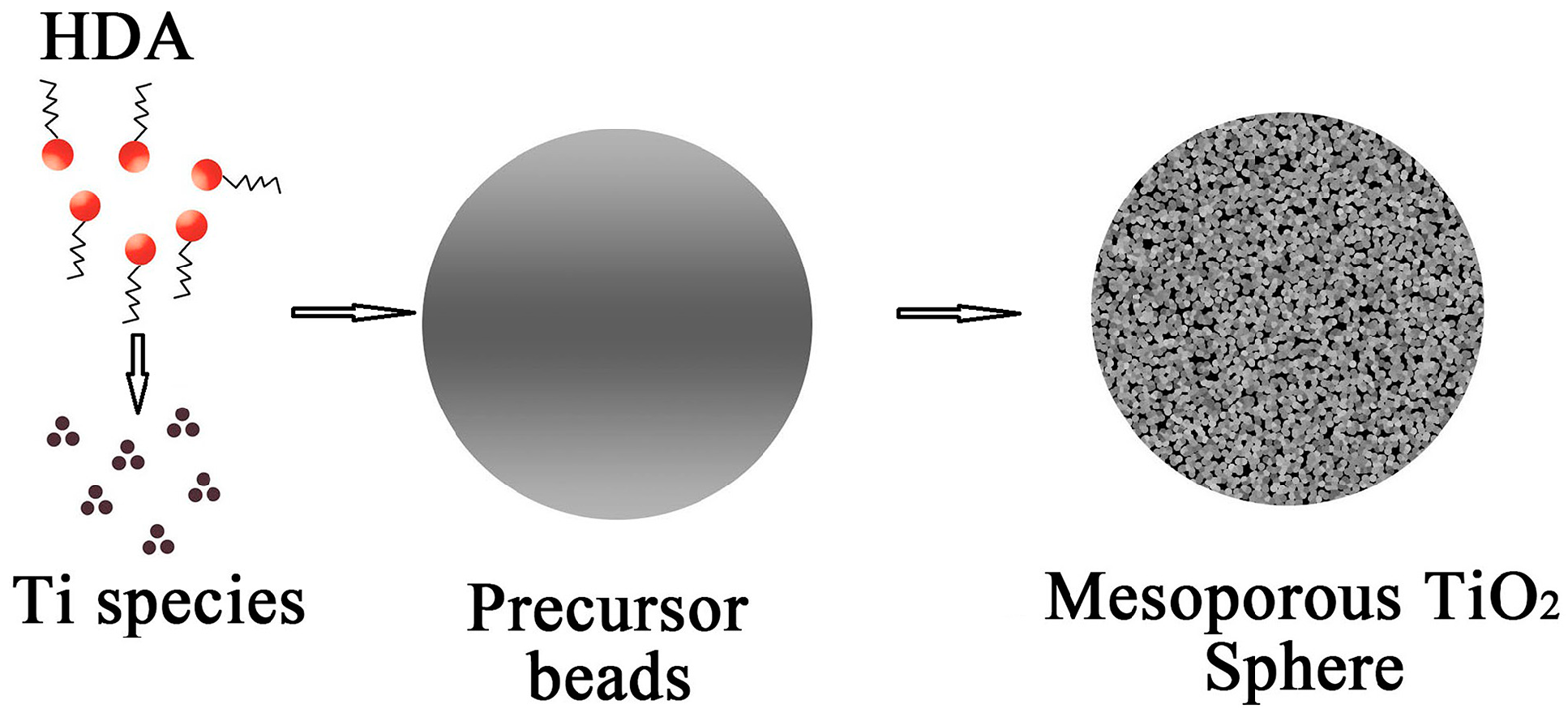 molecules free full text soft template synthesis of mesoporous