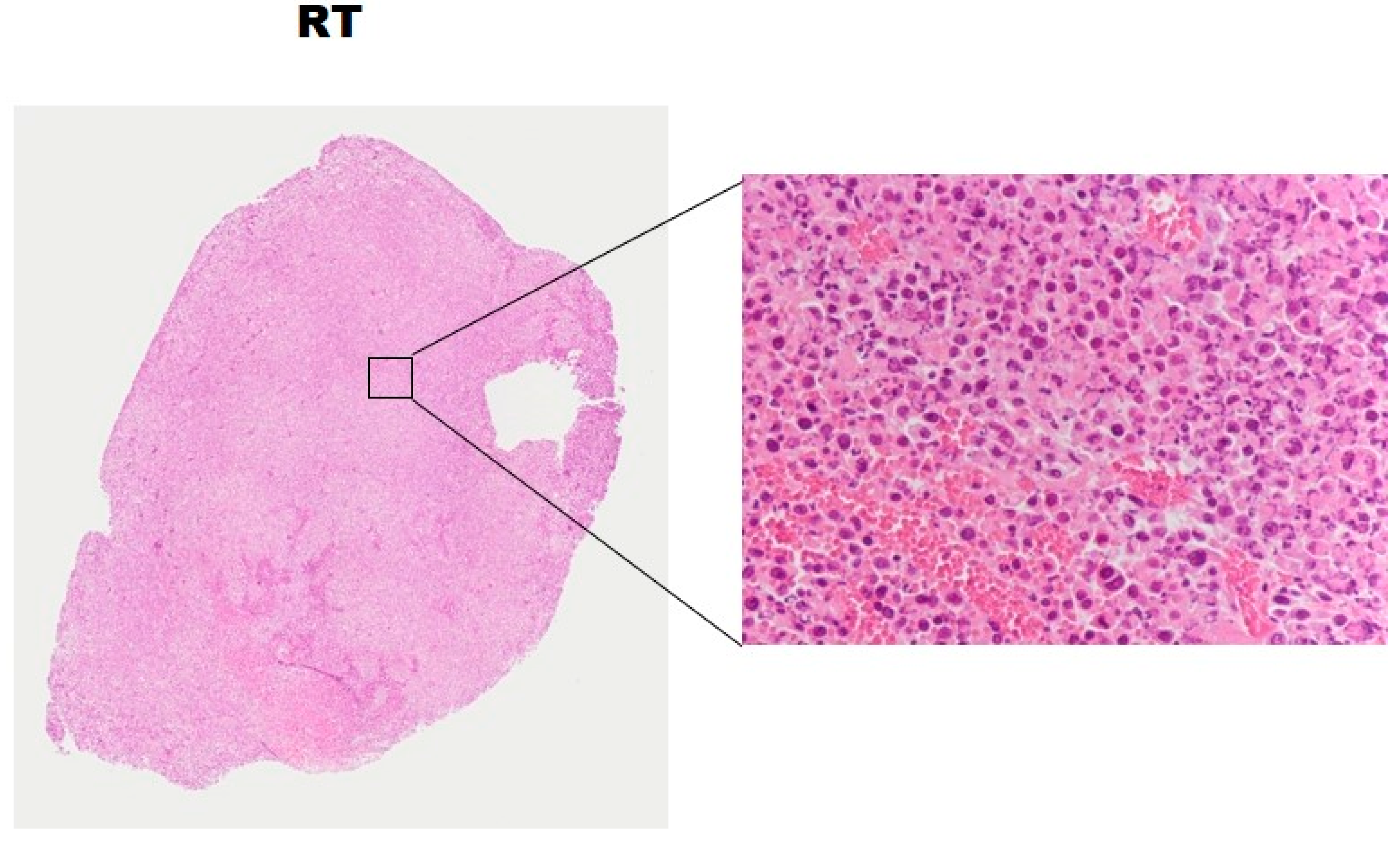 Molecules 22 01946 g006b