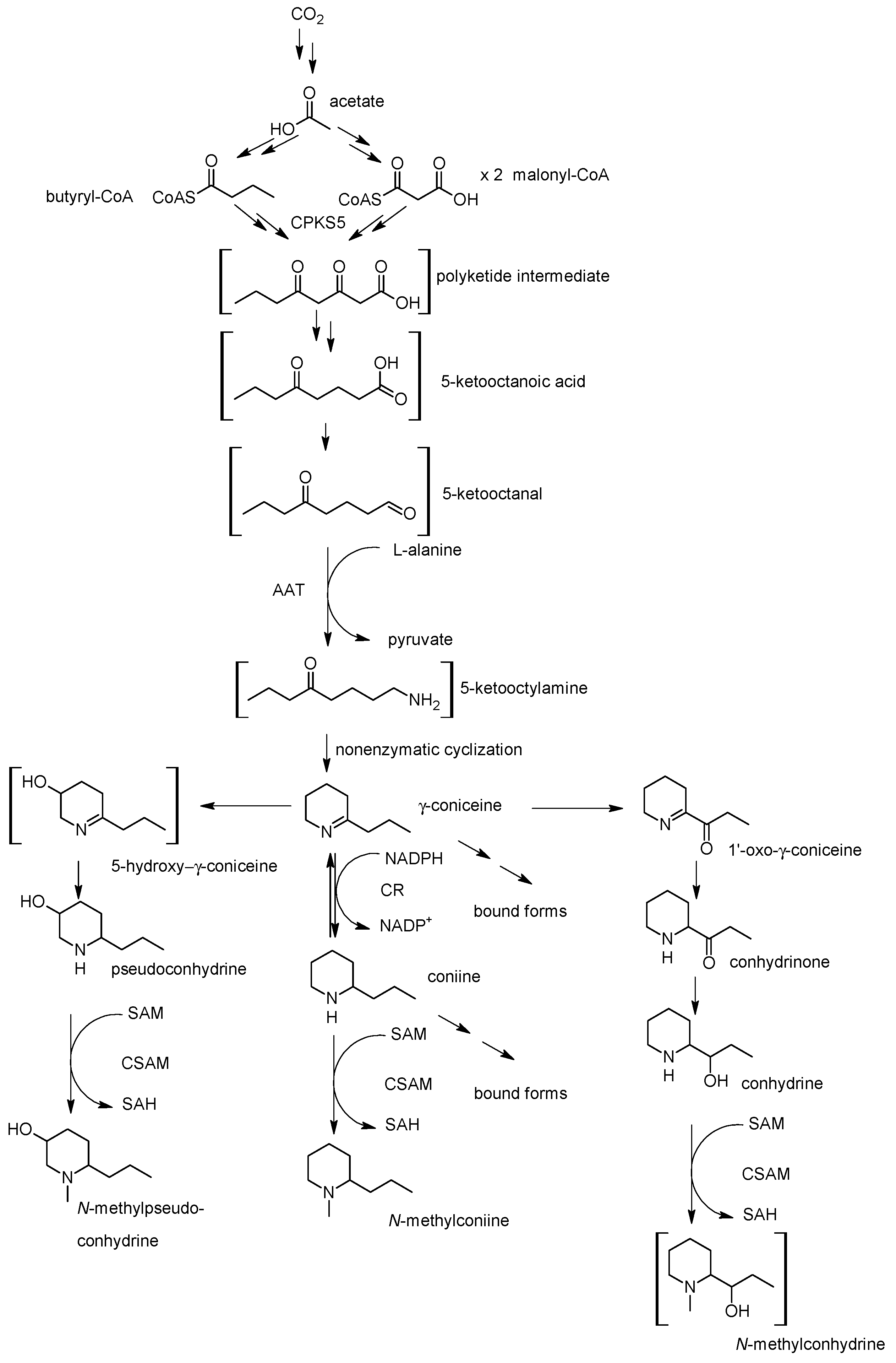 Molecules 22 01962 g007