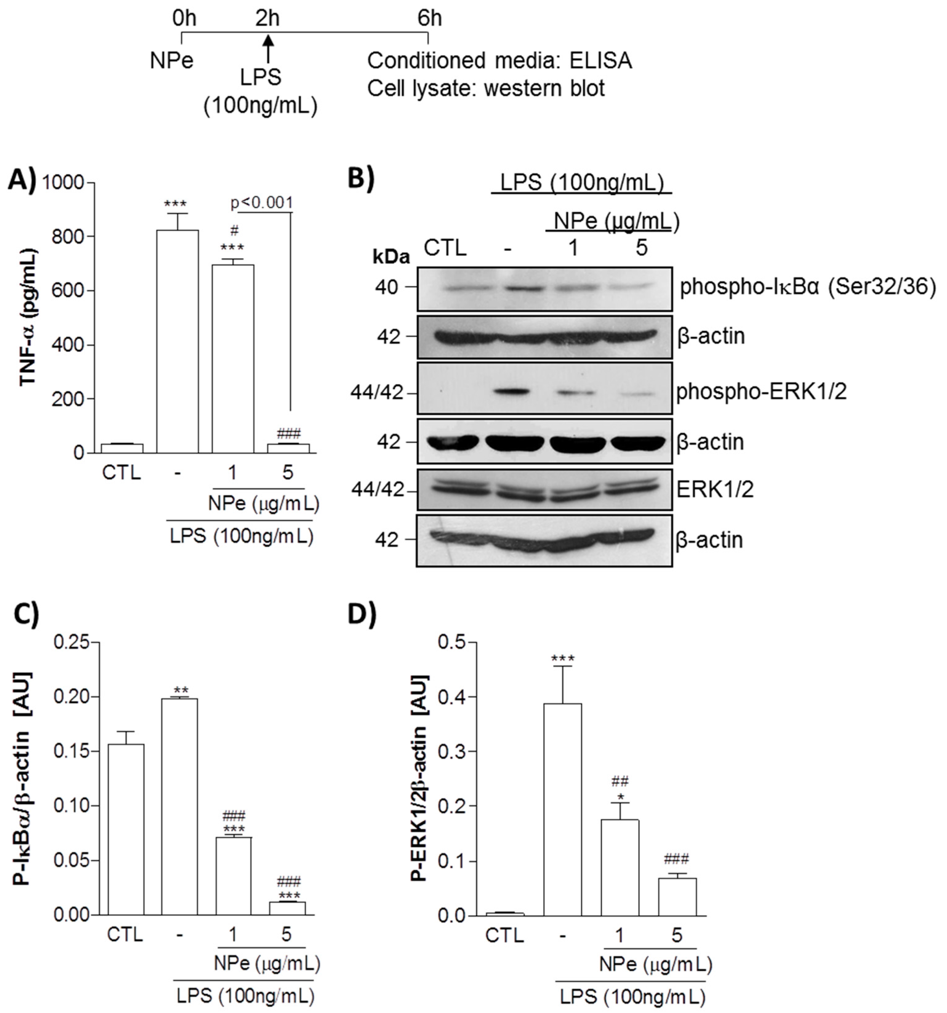 Molecules 22 01977 g004
