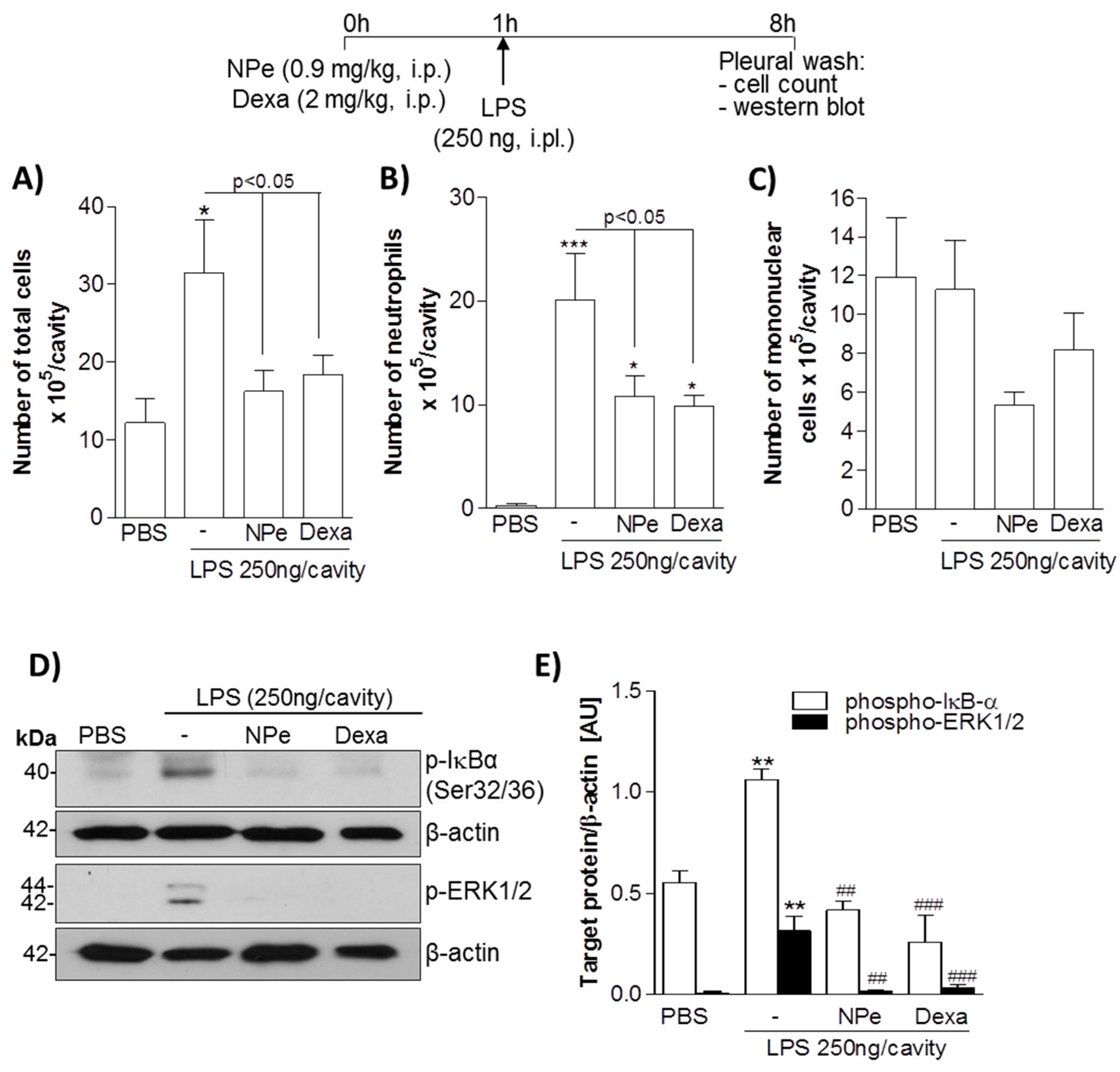 Molecules 22 01977 g005