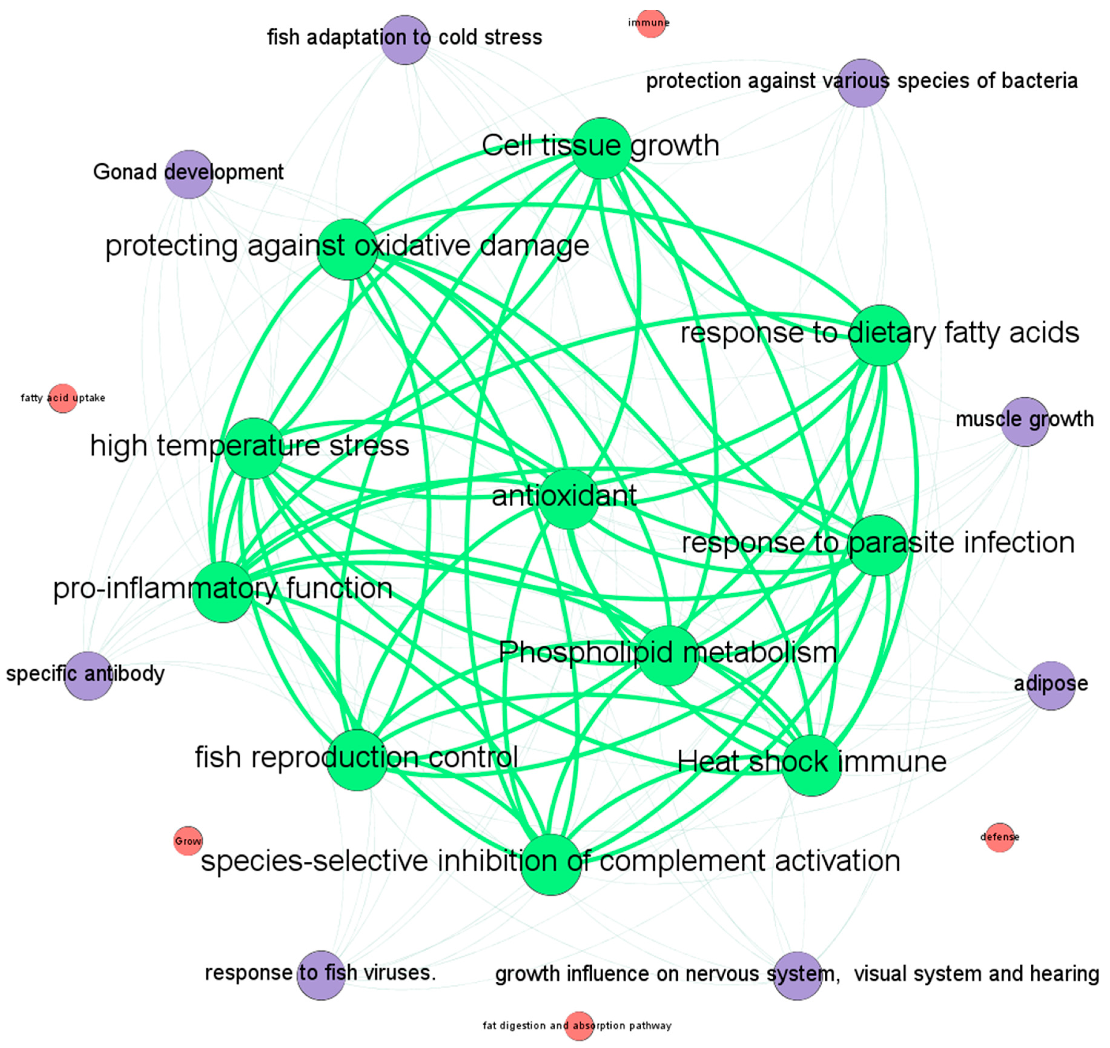 Predict the Relationship between Gene and Large Yellow