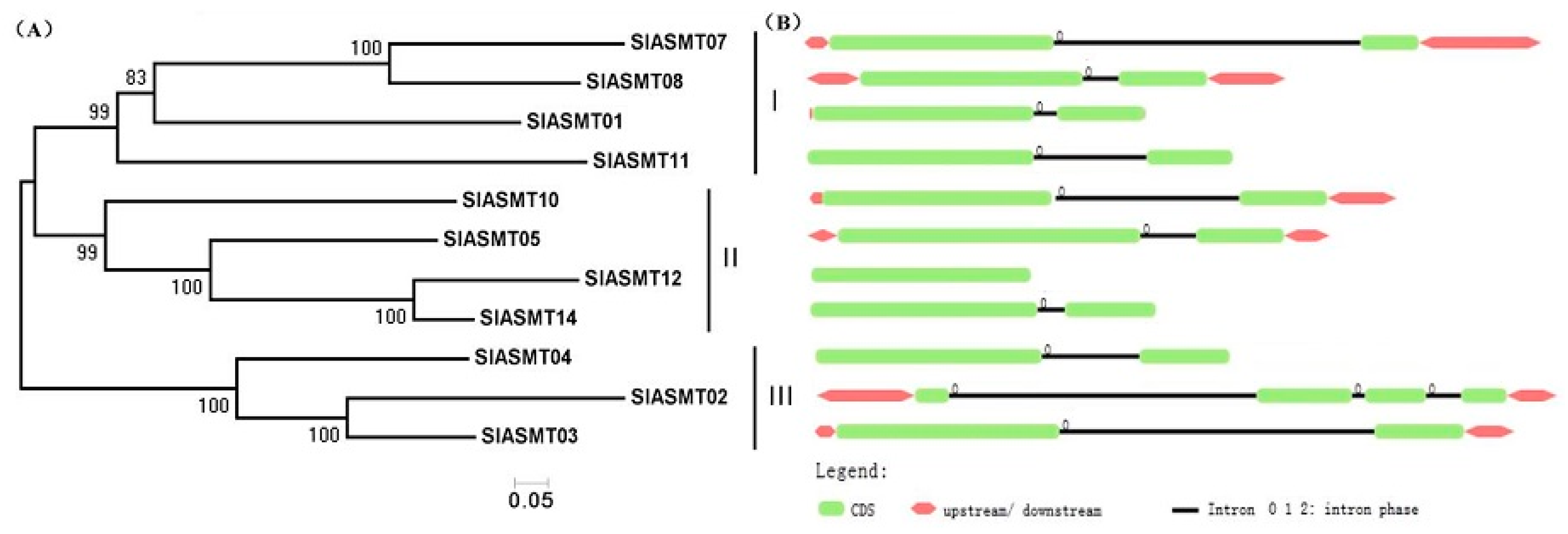 Molecules 22 01984 g001