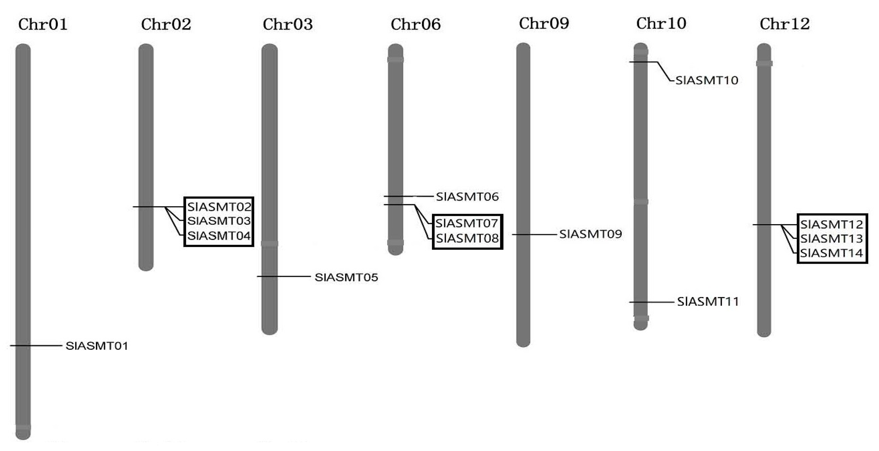 Molecules 22 01984 g002