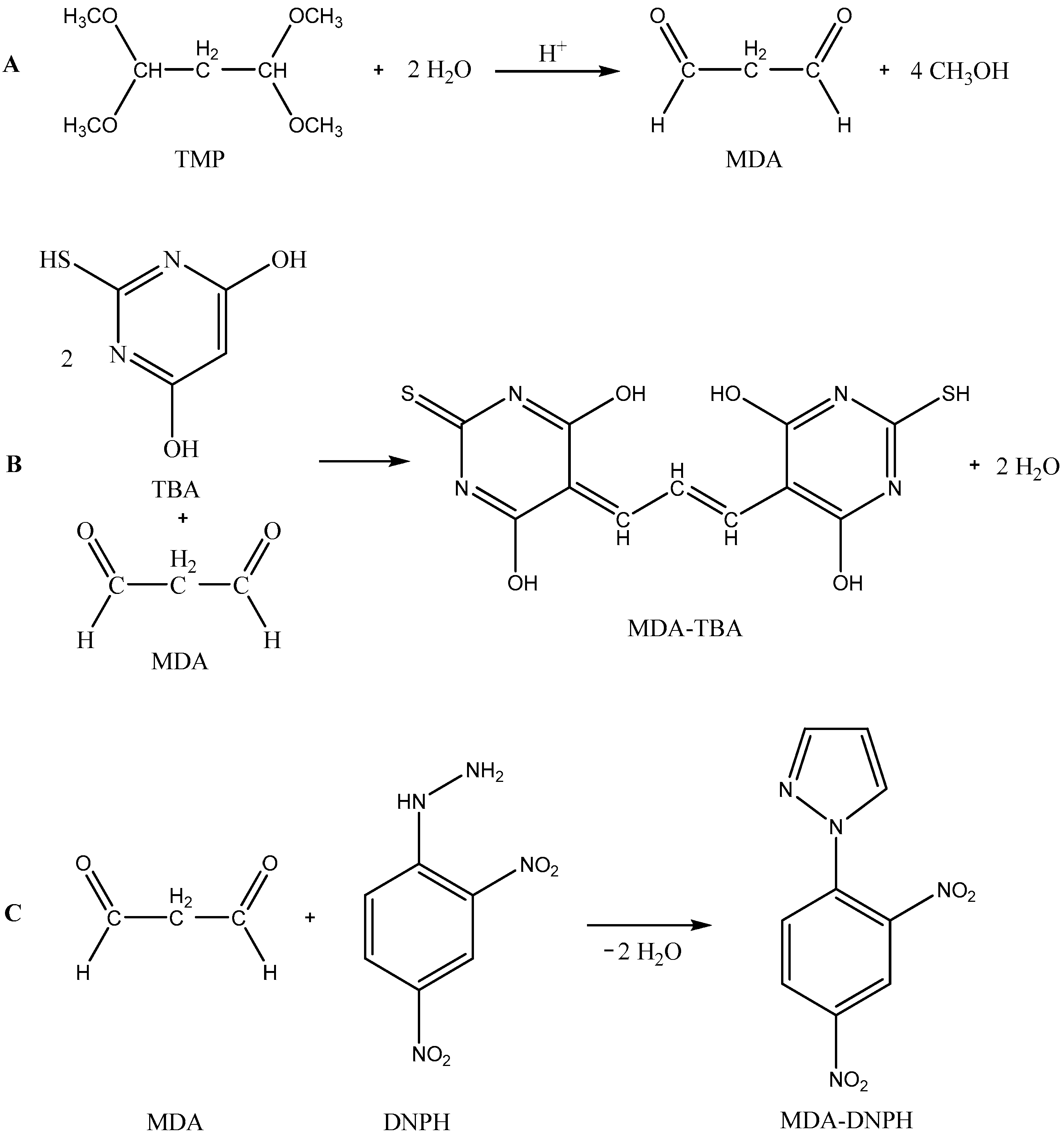 Molecules 22 01988 g003