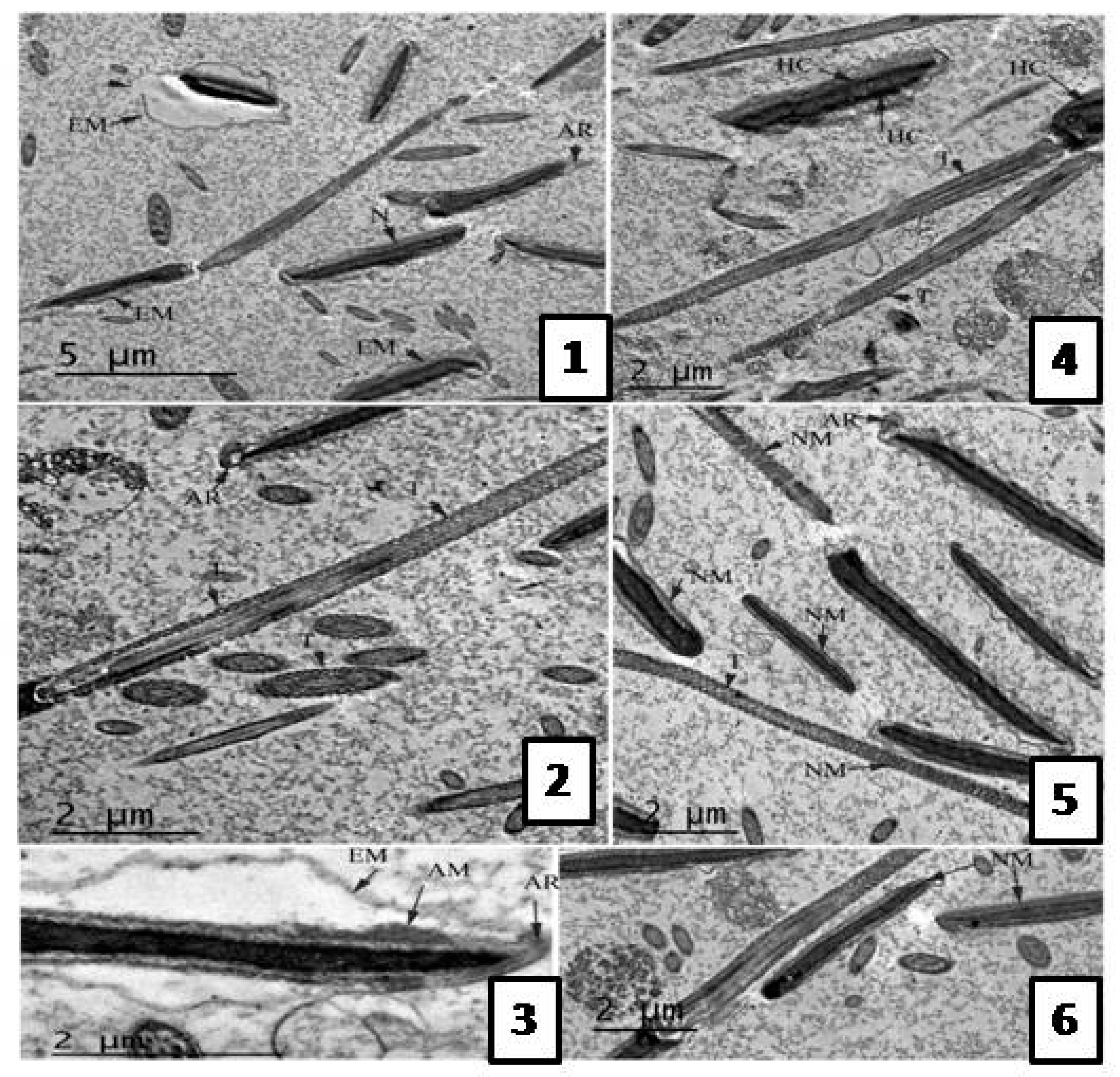 Molecules 22 01993 g003 Molecules 22 01993 g003