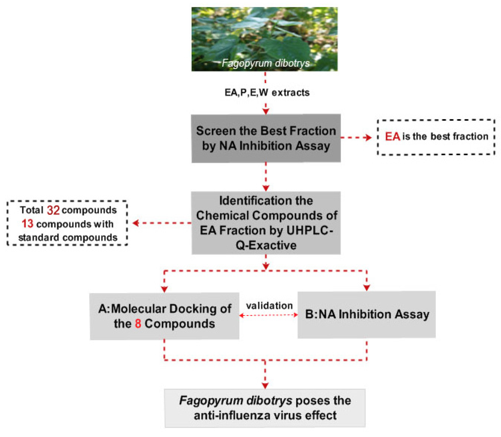 Molecules 22 01998 g001 550
