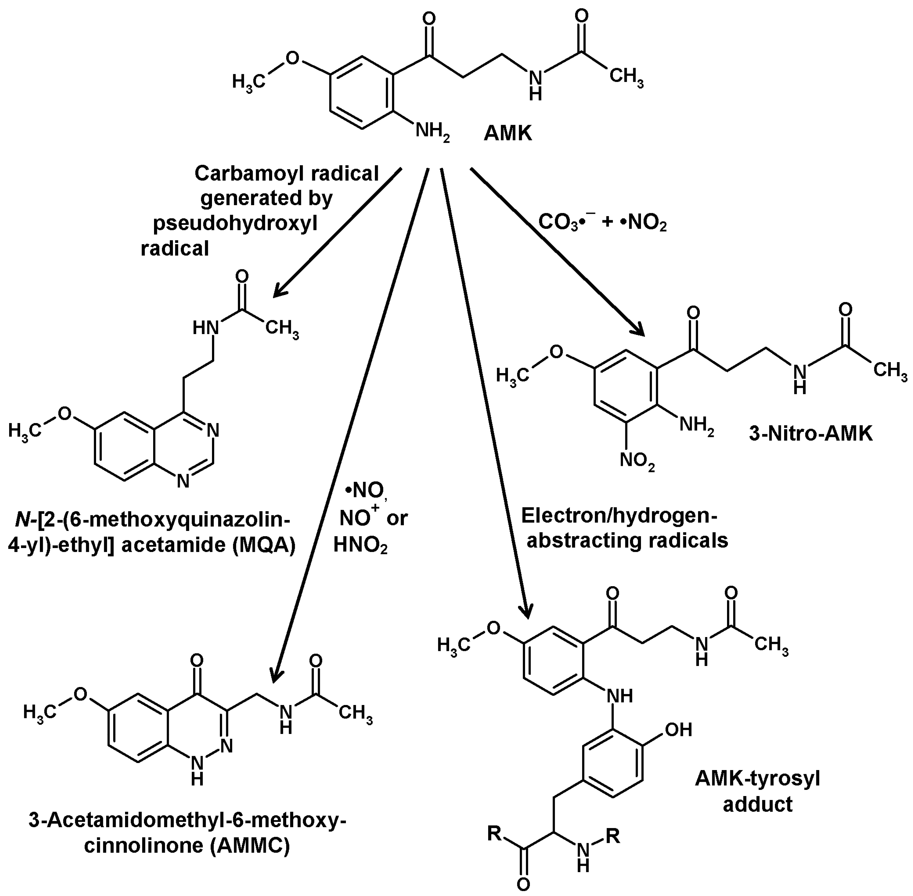 Molecules 22 02015 g005