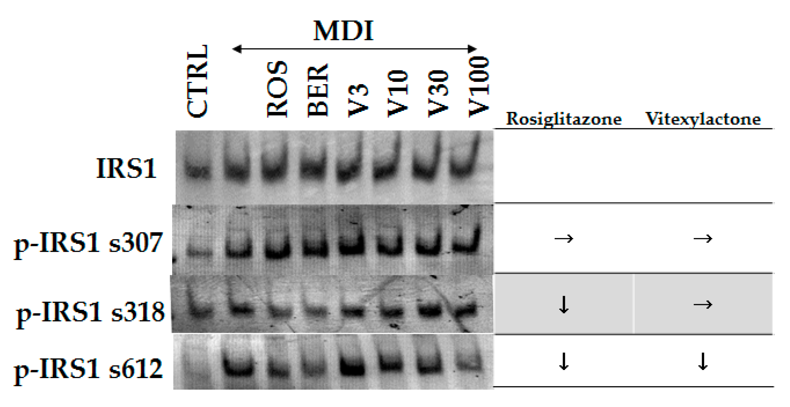 Molecules 22 02030 g005
