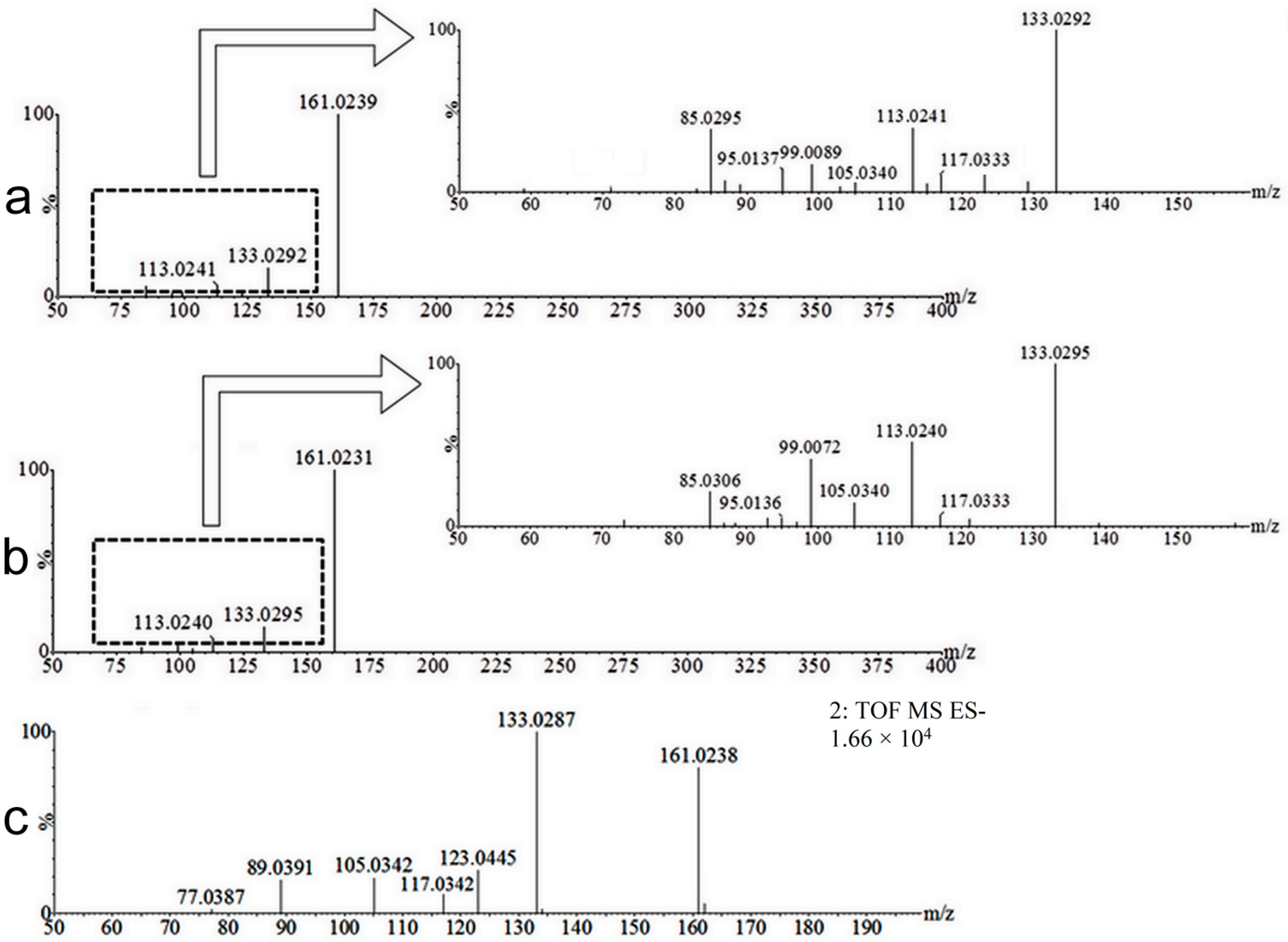Molecules 22 02031 g005