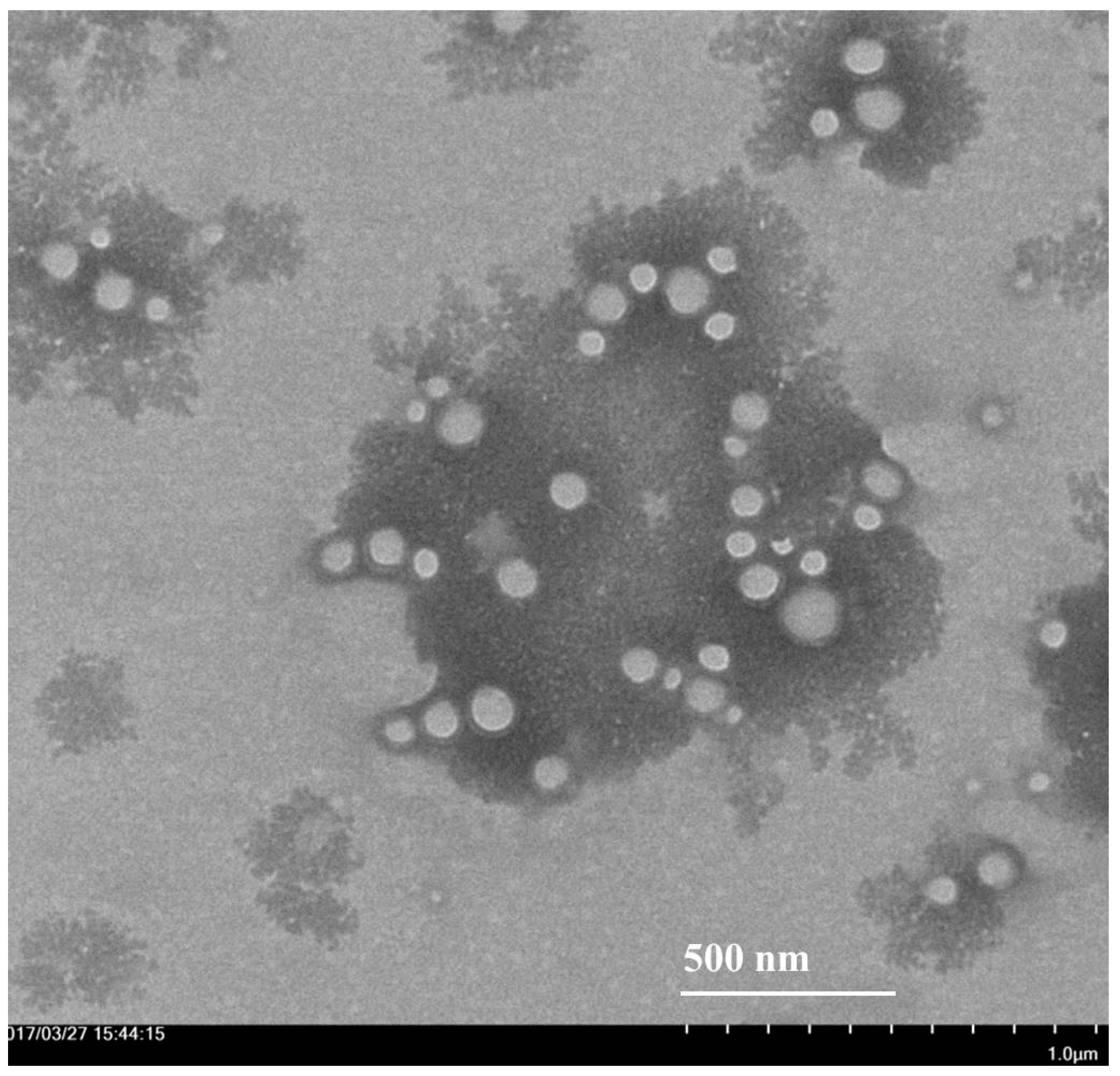 Molecules 22 02040 g003