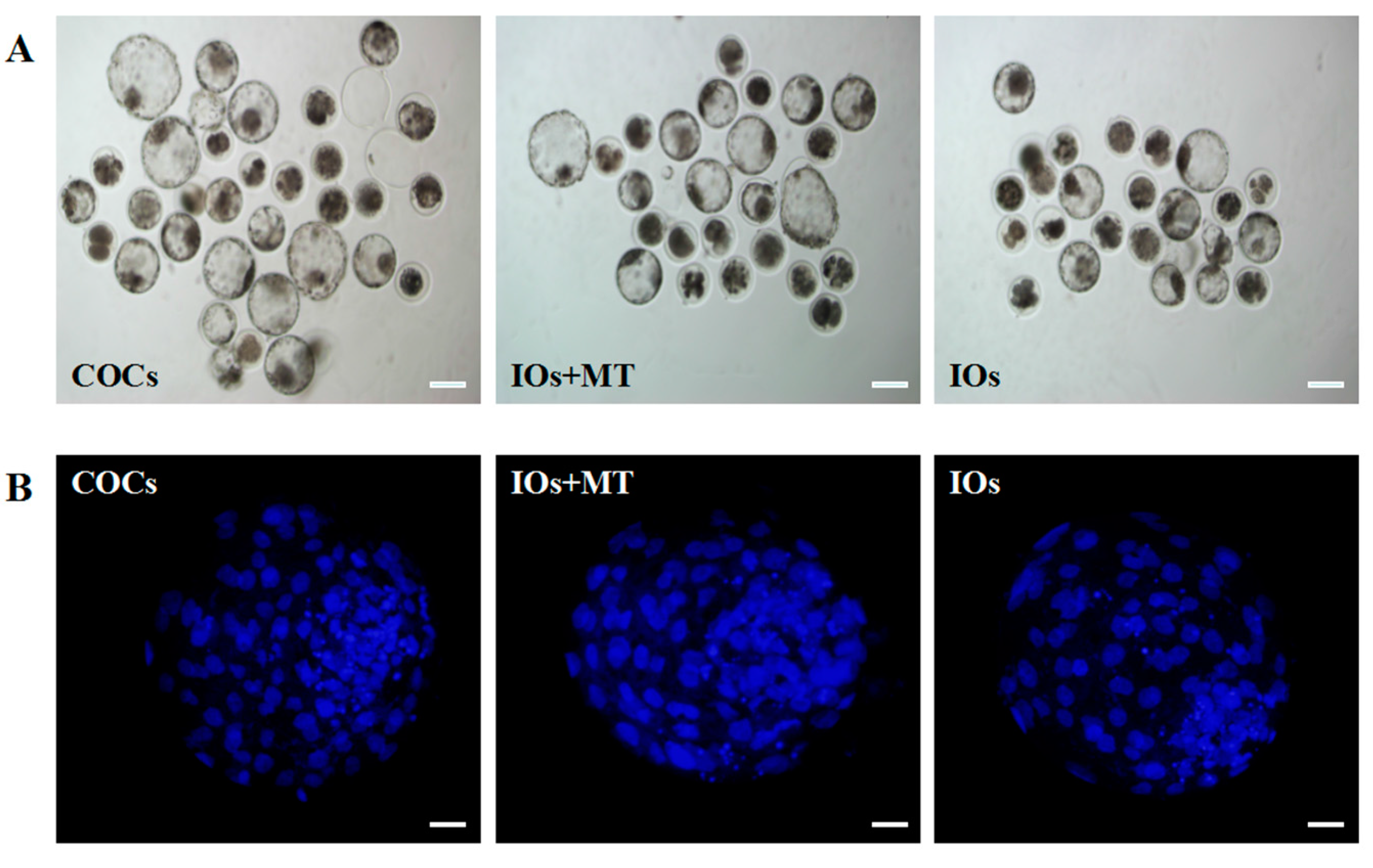 Molecules 22 02059 g007