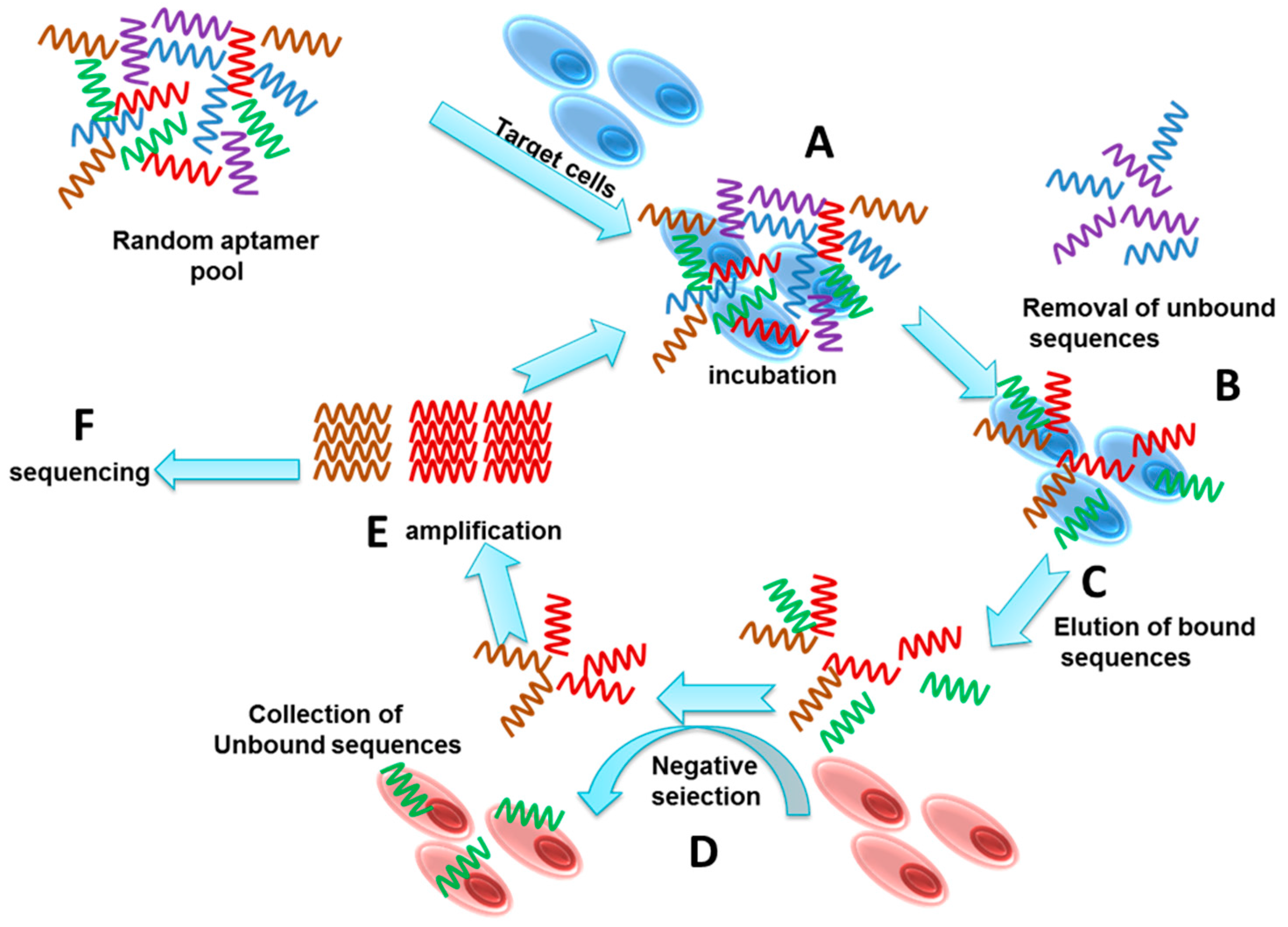 Molecules 22 02070 g001