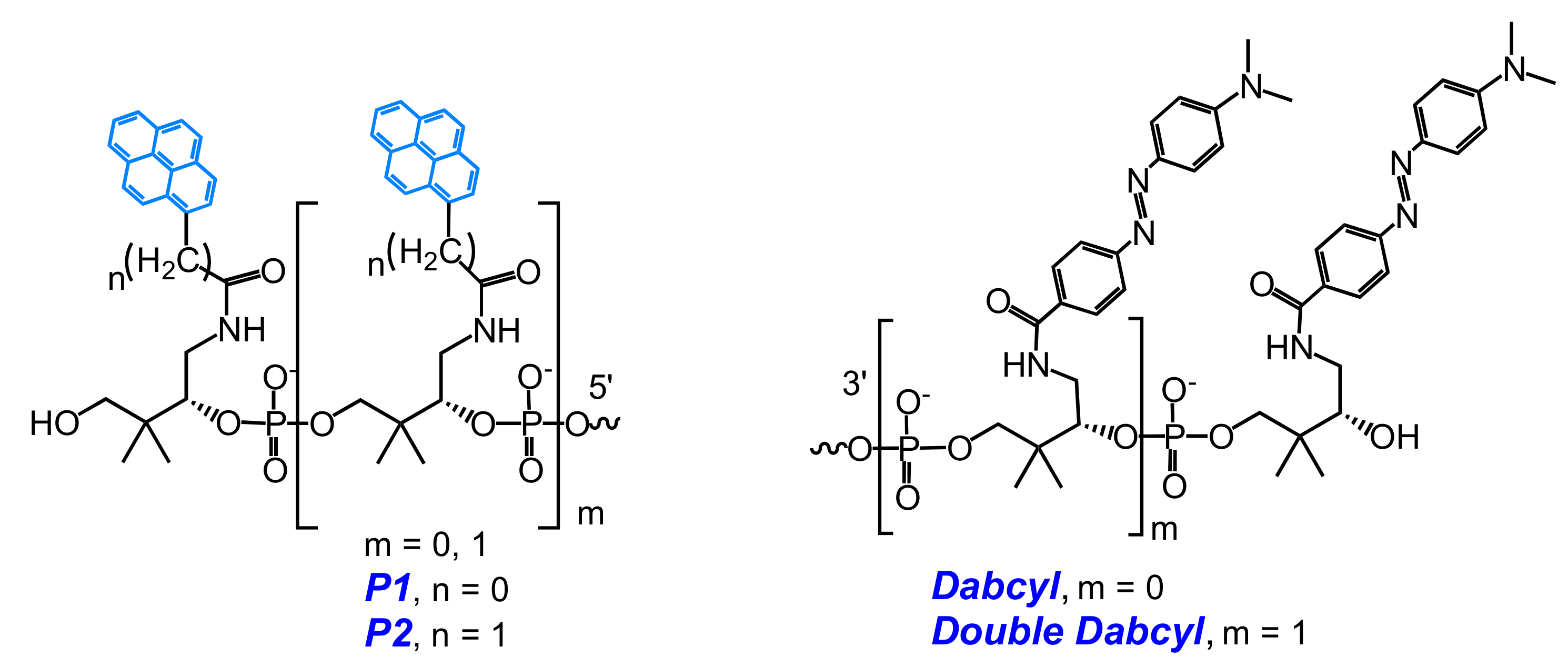 Molecules 22 02108 g010