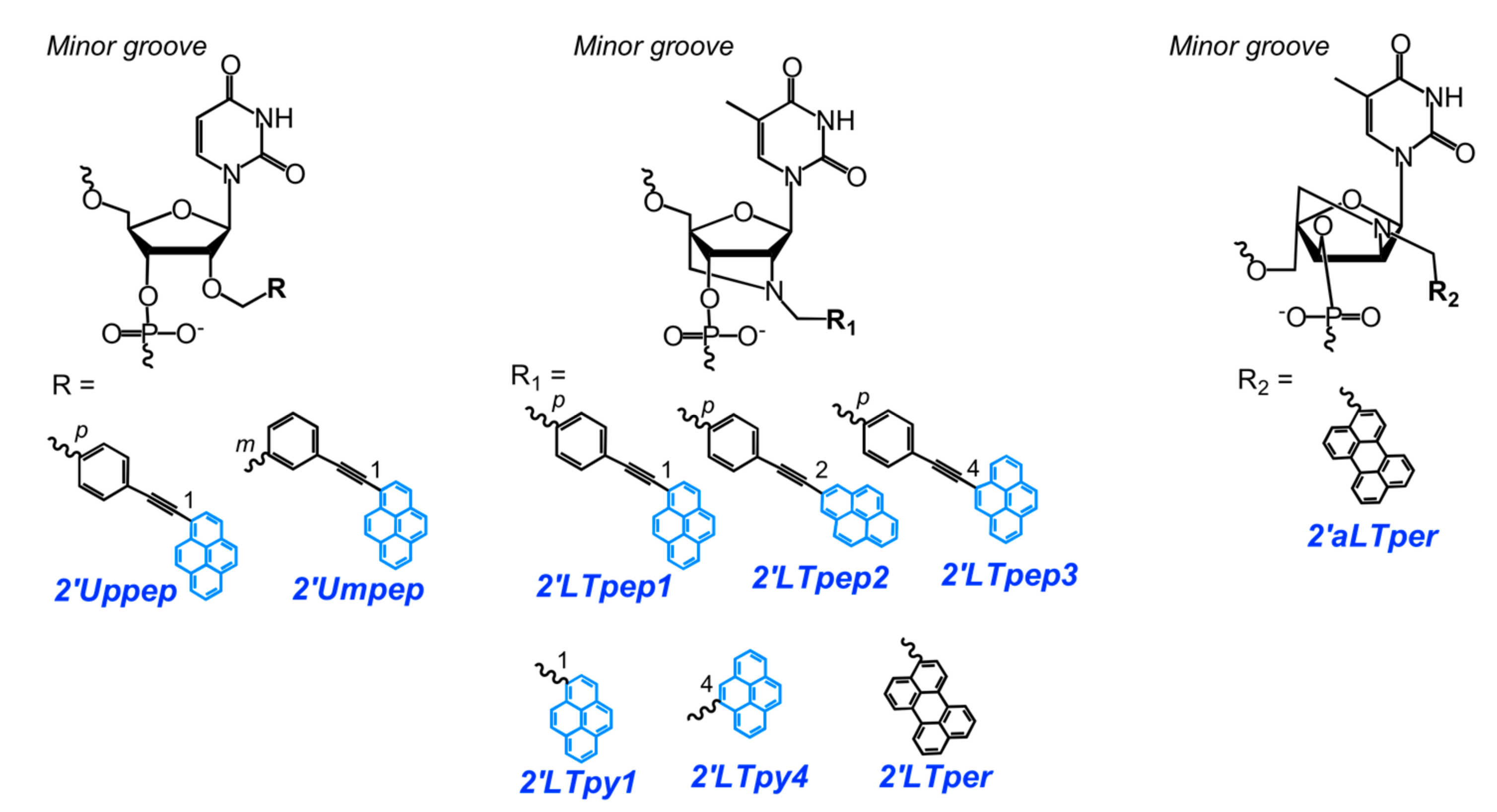 Molecules 22 02108 g014