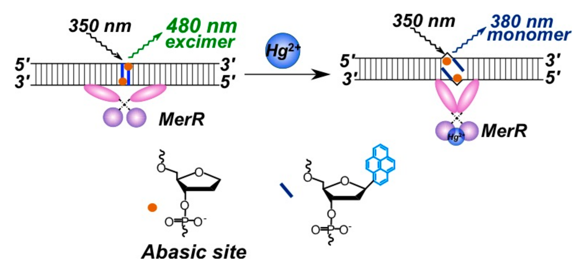 Molecules 22 02108 g025