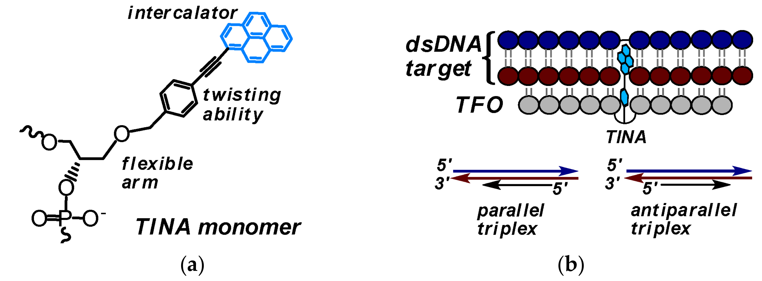 Molecules 22 02108 g034