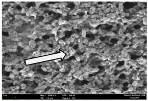 Molecules  Free Full-Text  Composition and Antibacterial 