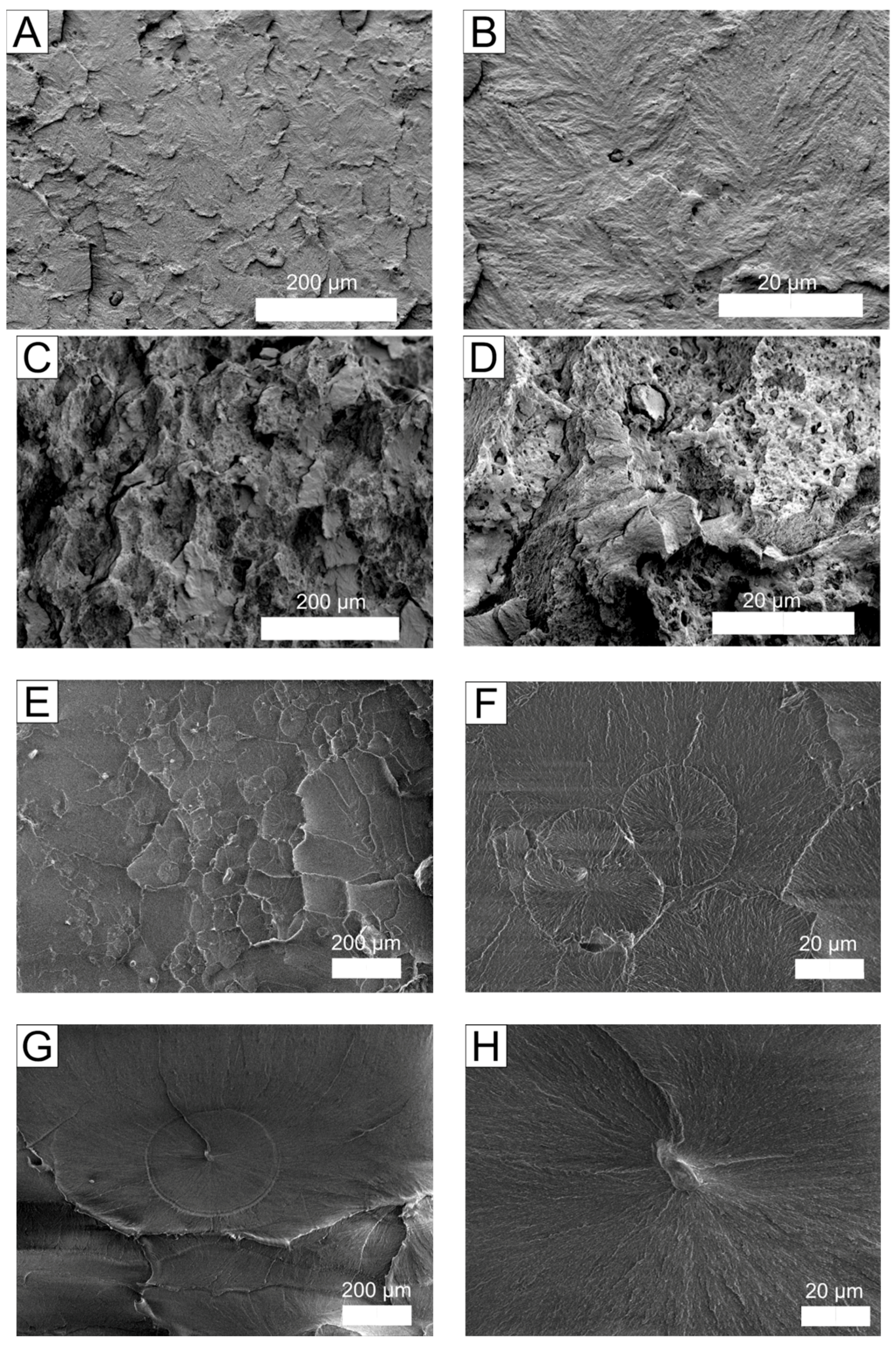 Molecules 22 02149 g003
