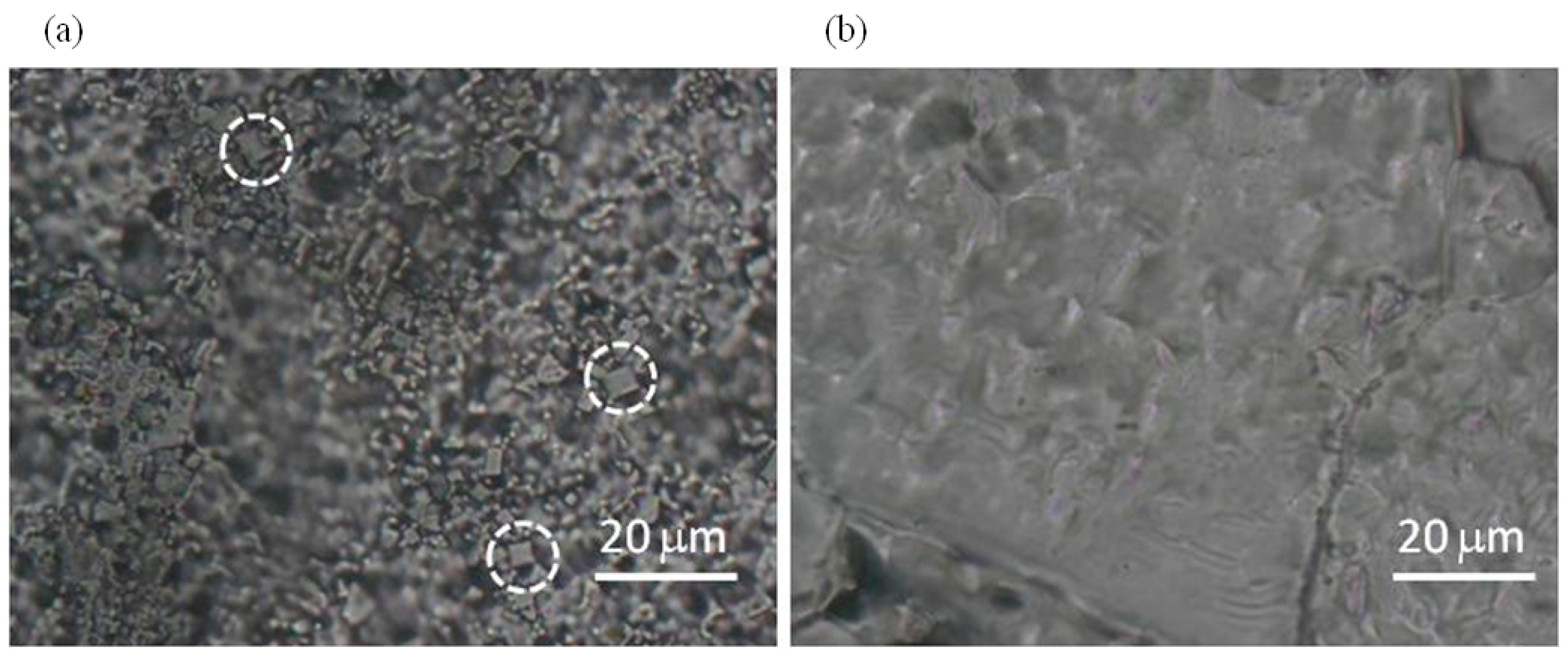 Molecules 22 02153 g004 550
