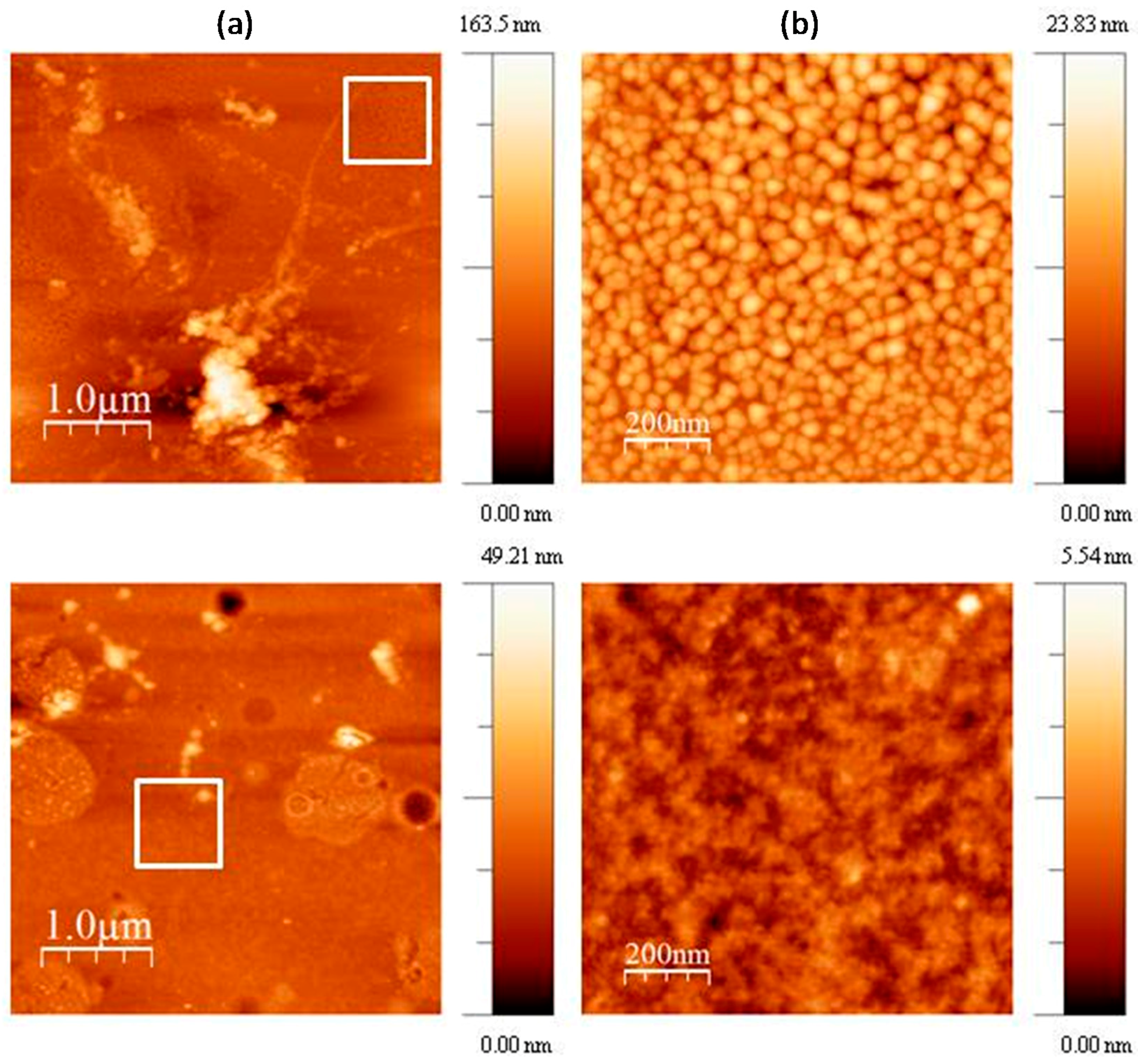 Molecules 22 02153 g005 550