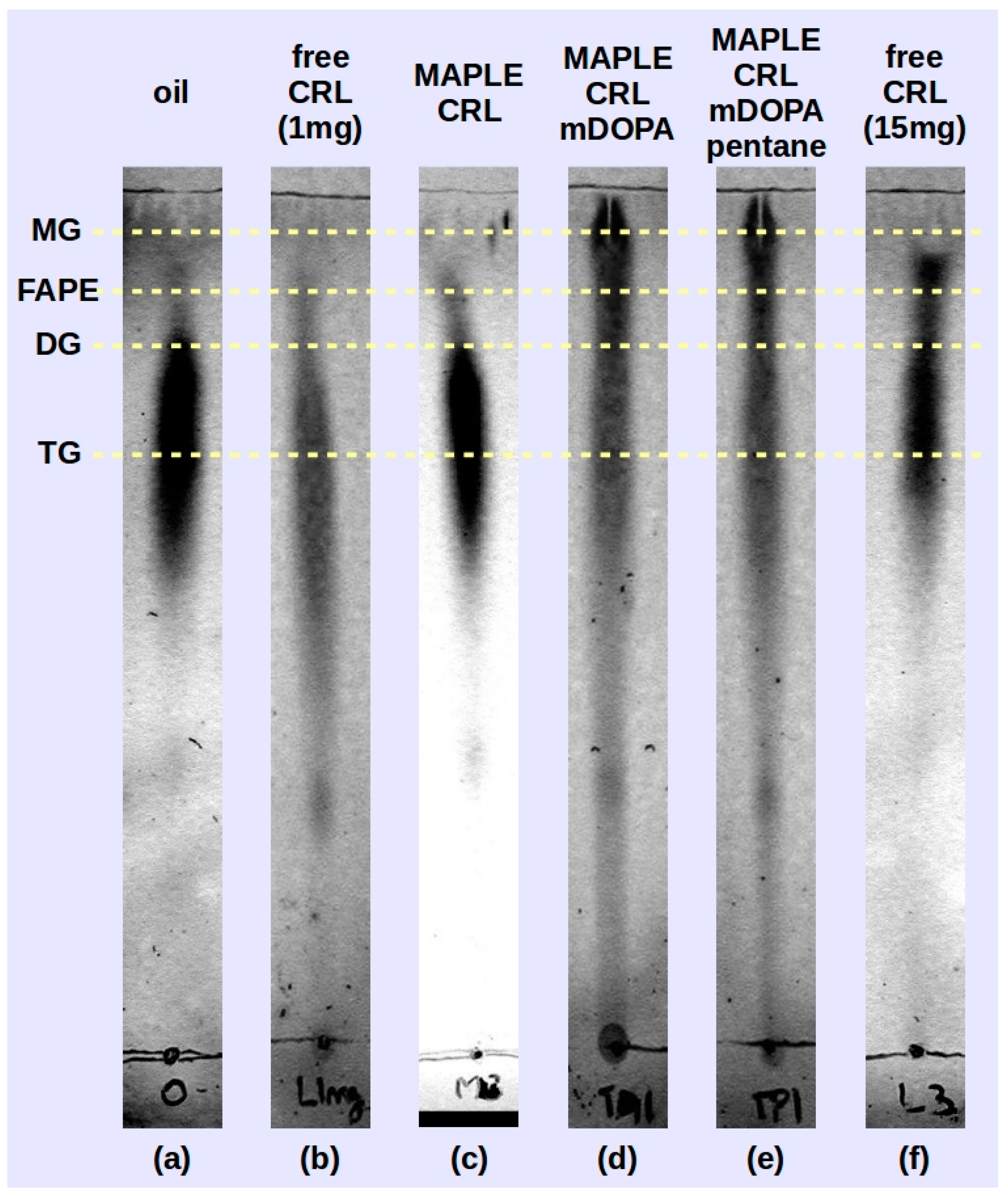 Molecules 22 02153 g006 550