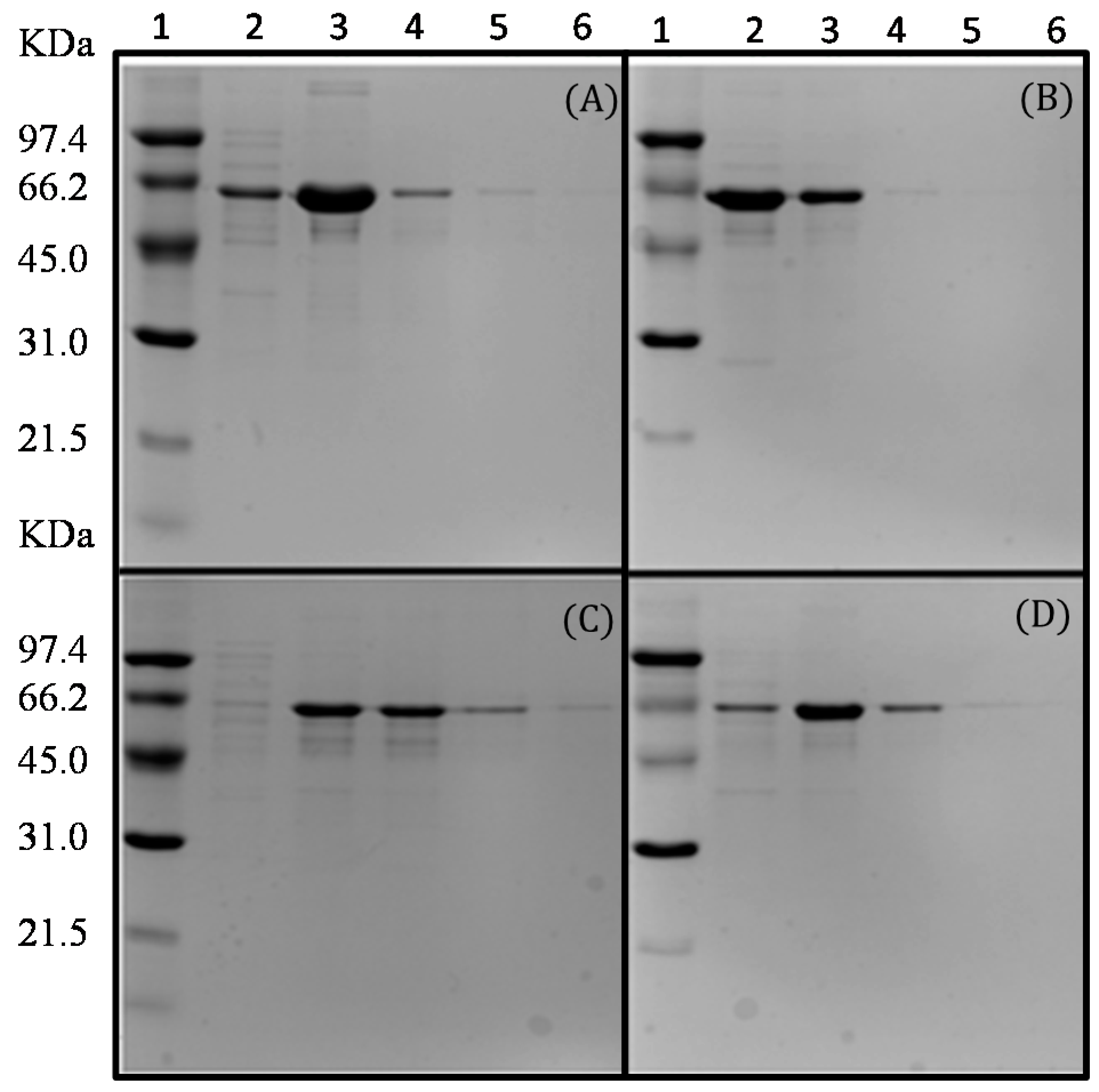 Molecules 22 02164 g002 550