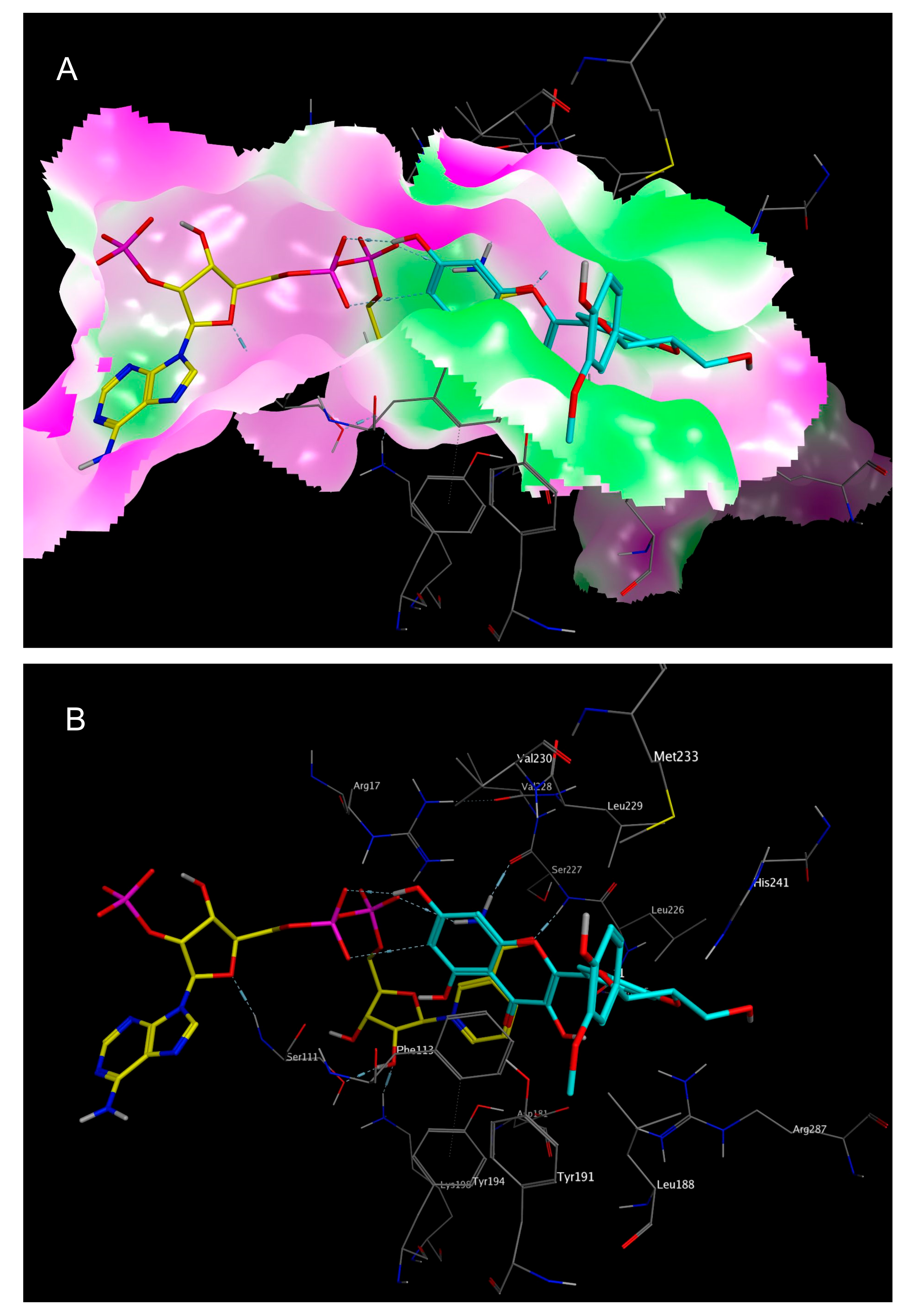 Molecules 22 02166 g006