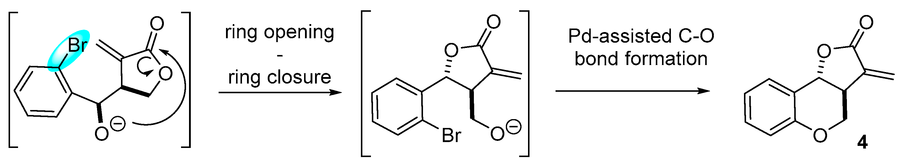 Molecules 22 02171 sch002 Molecules 22 02171 sch002