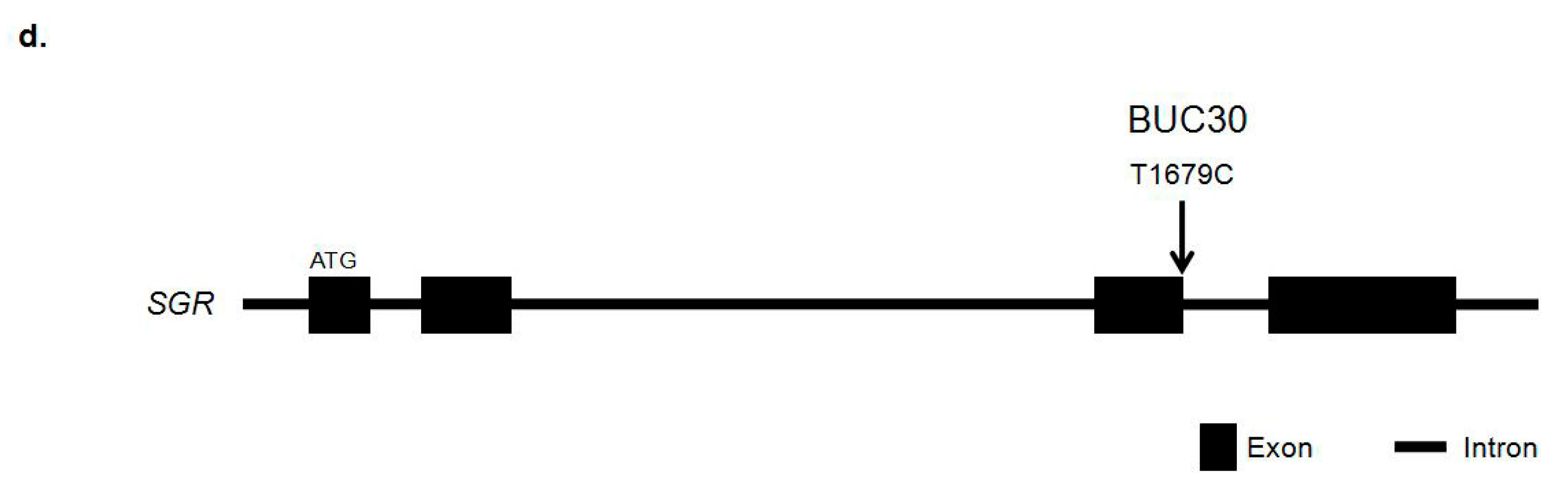 Molecules 22 02180 g003b