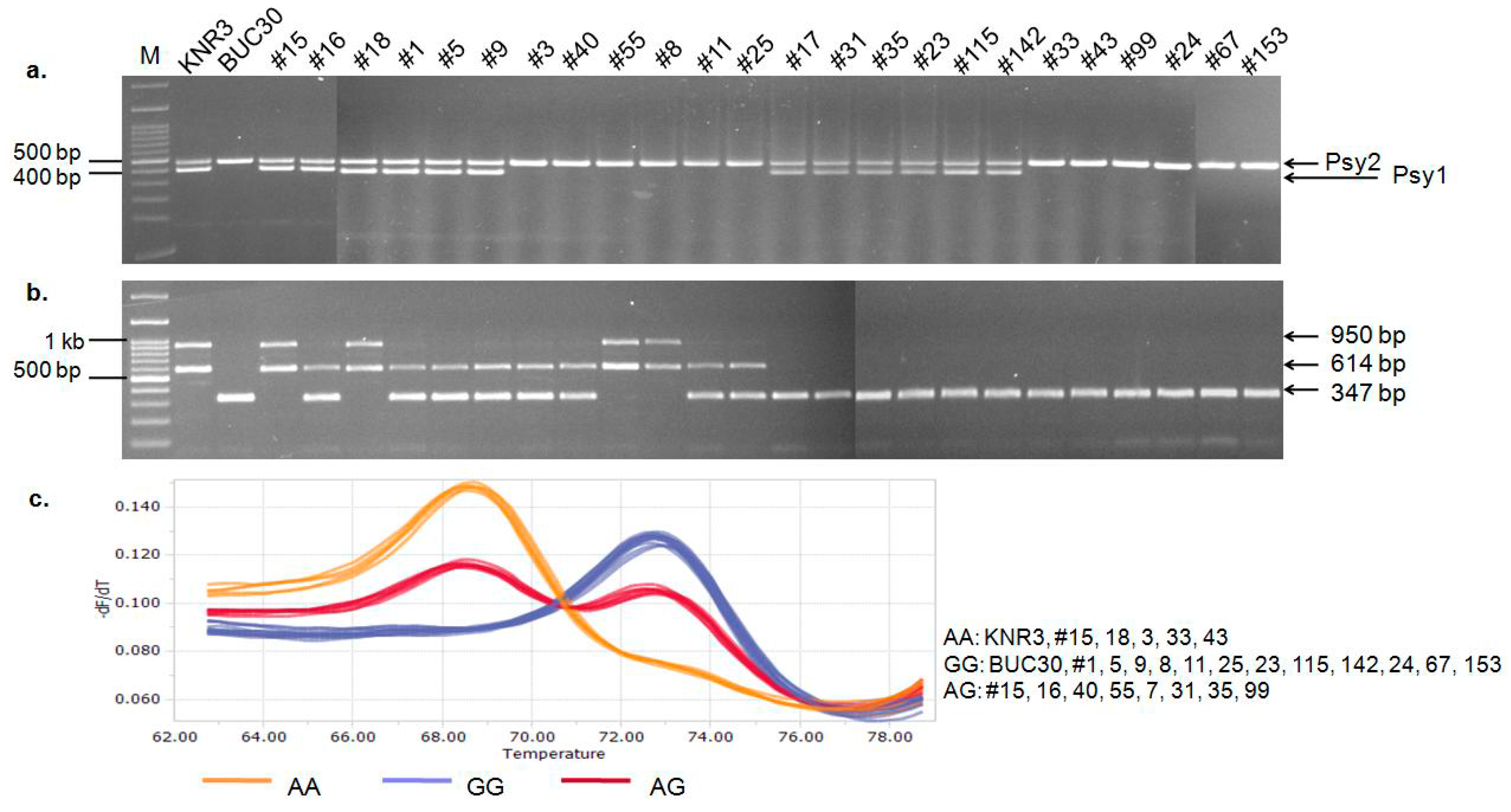 Molecules 22 02180 g005