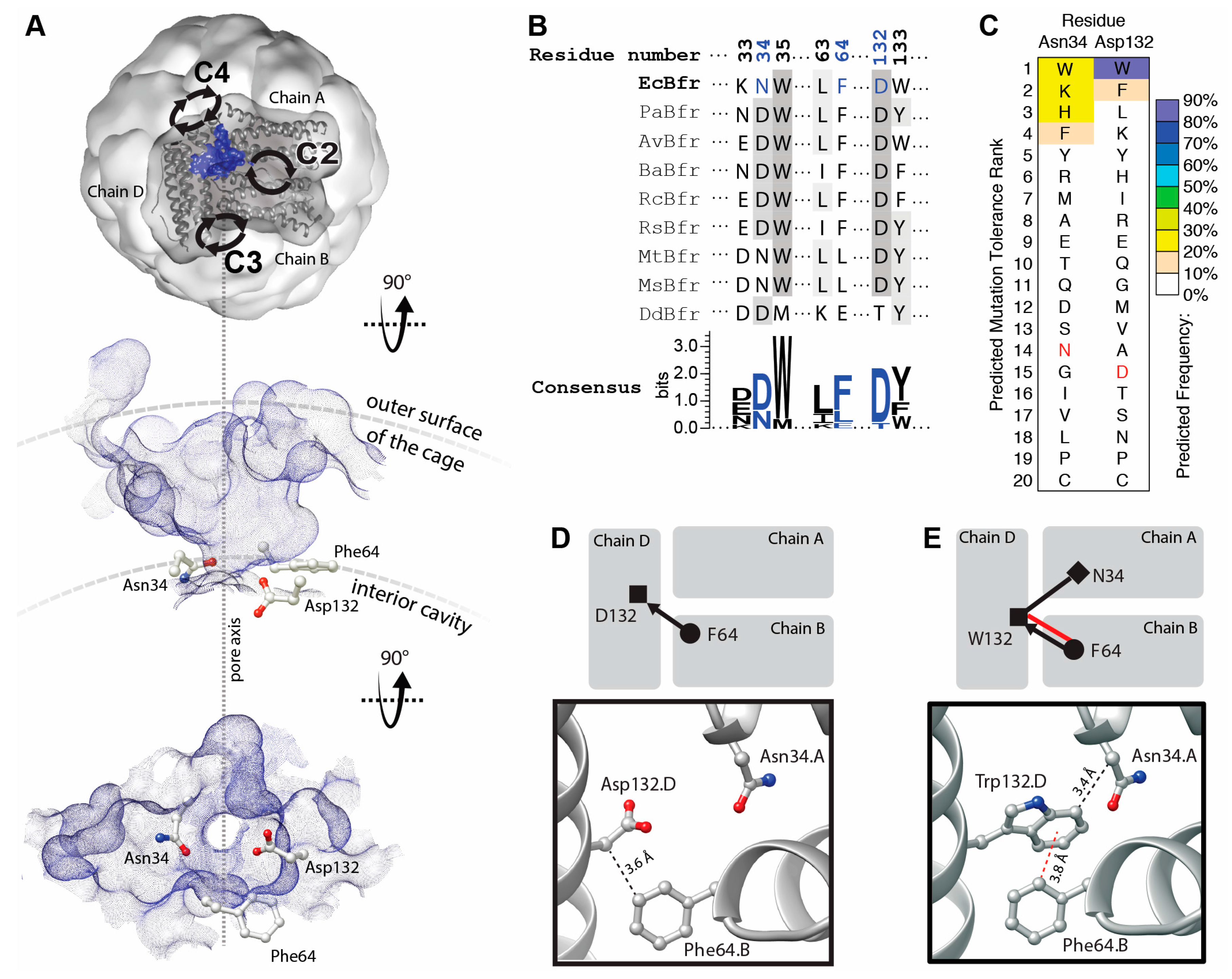 Molecules 22 02184 g001 550