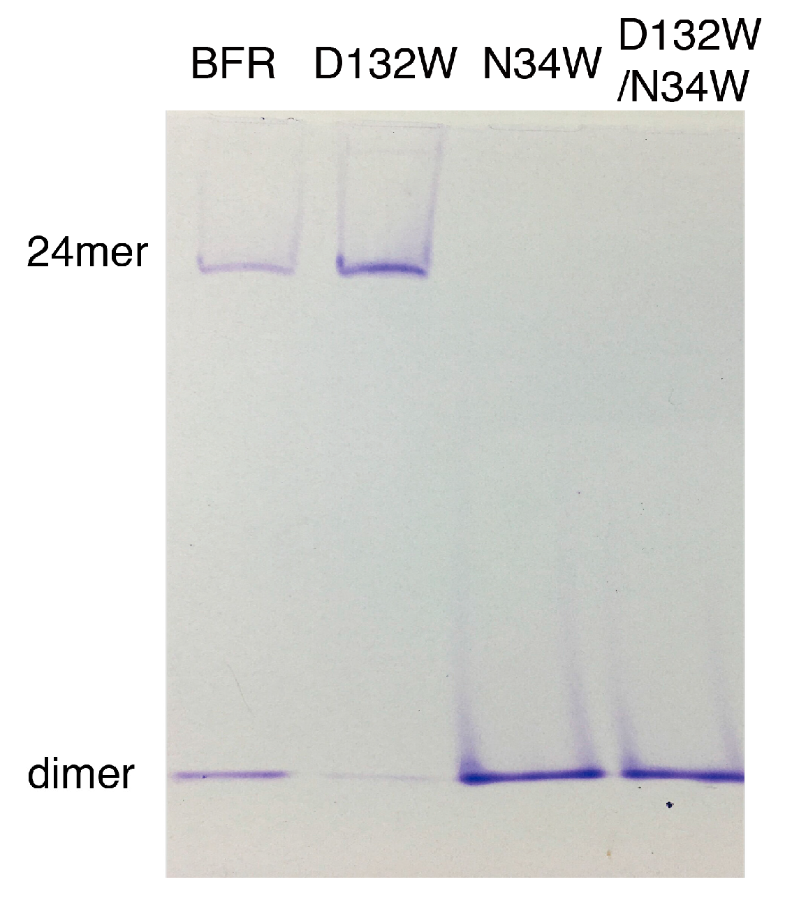Molecules 22 02184 g003 550