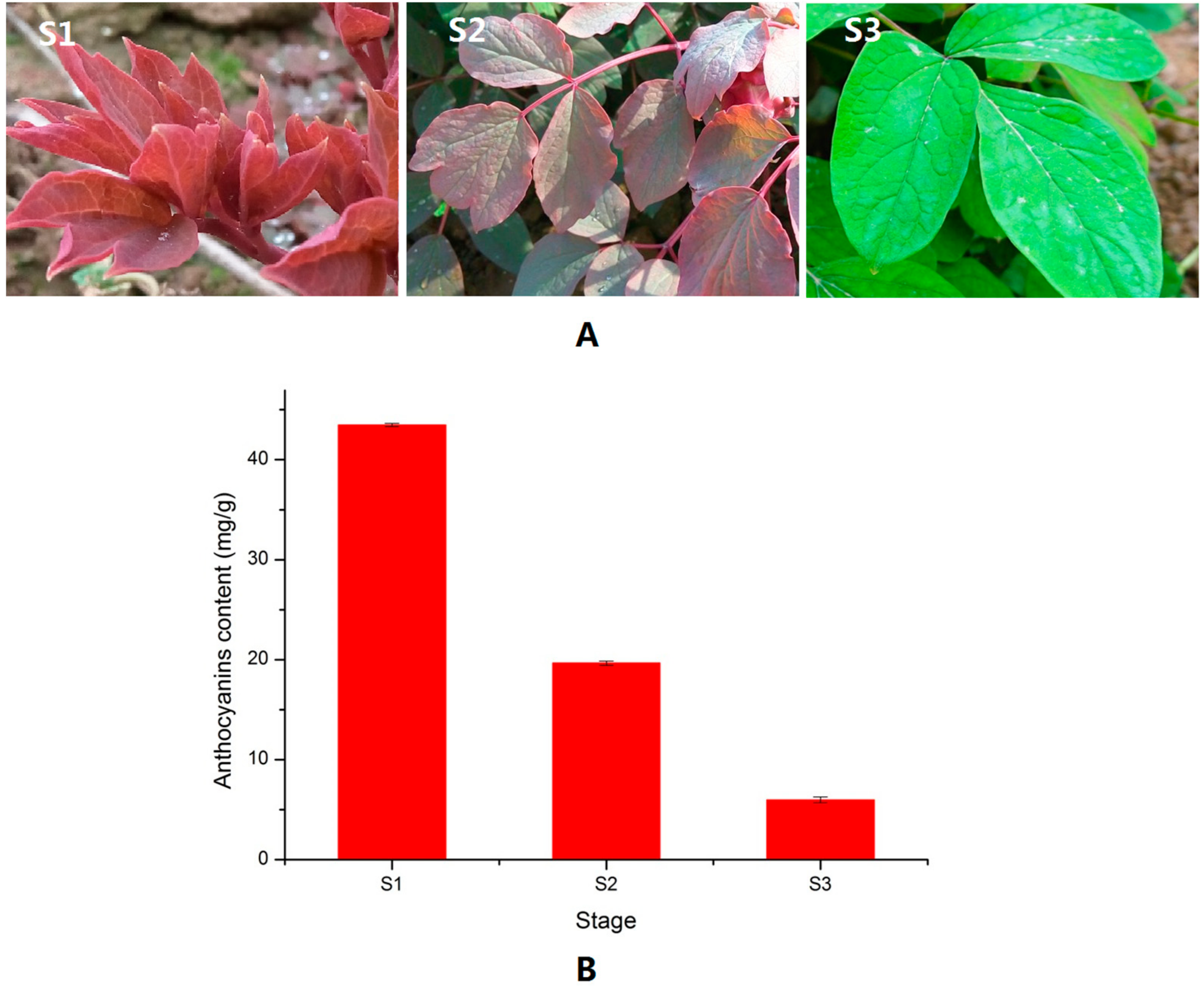 Molecules 22 02186 g001