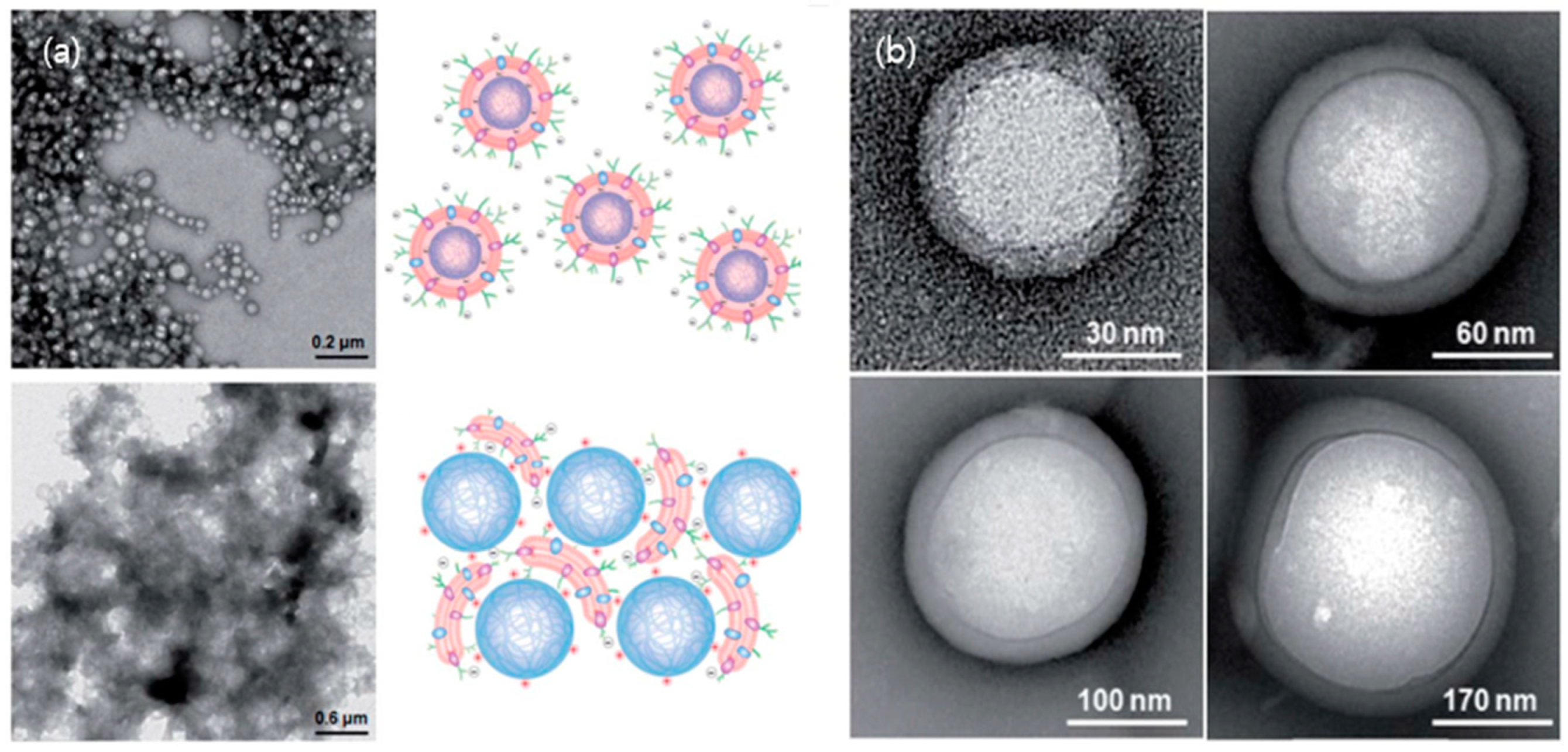 Molecules 22 02197 g003 Molecules 22 02197 g003