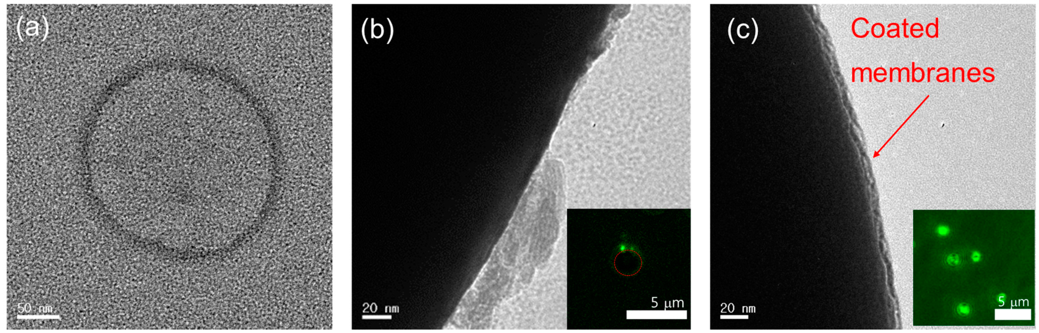 Molecules 22 02197 g004 Molecules 22 02197 g004