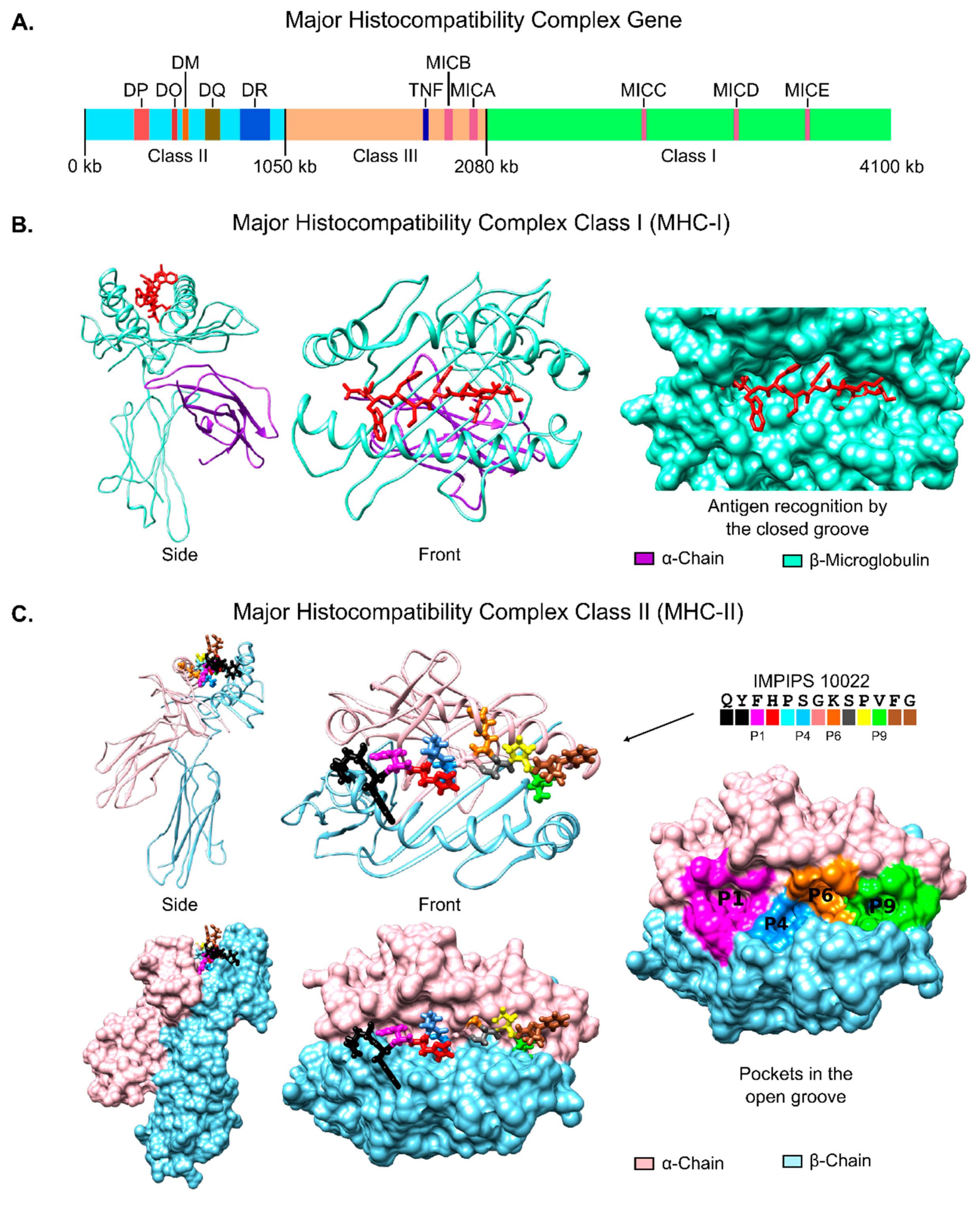 Molecules 22 02199 g003 Molecules 22 02199 g003