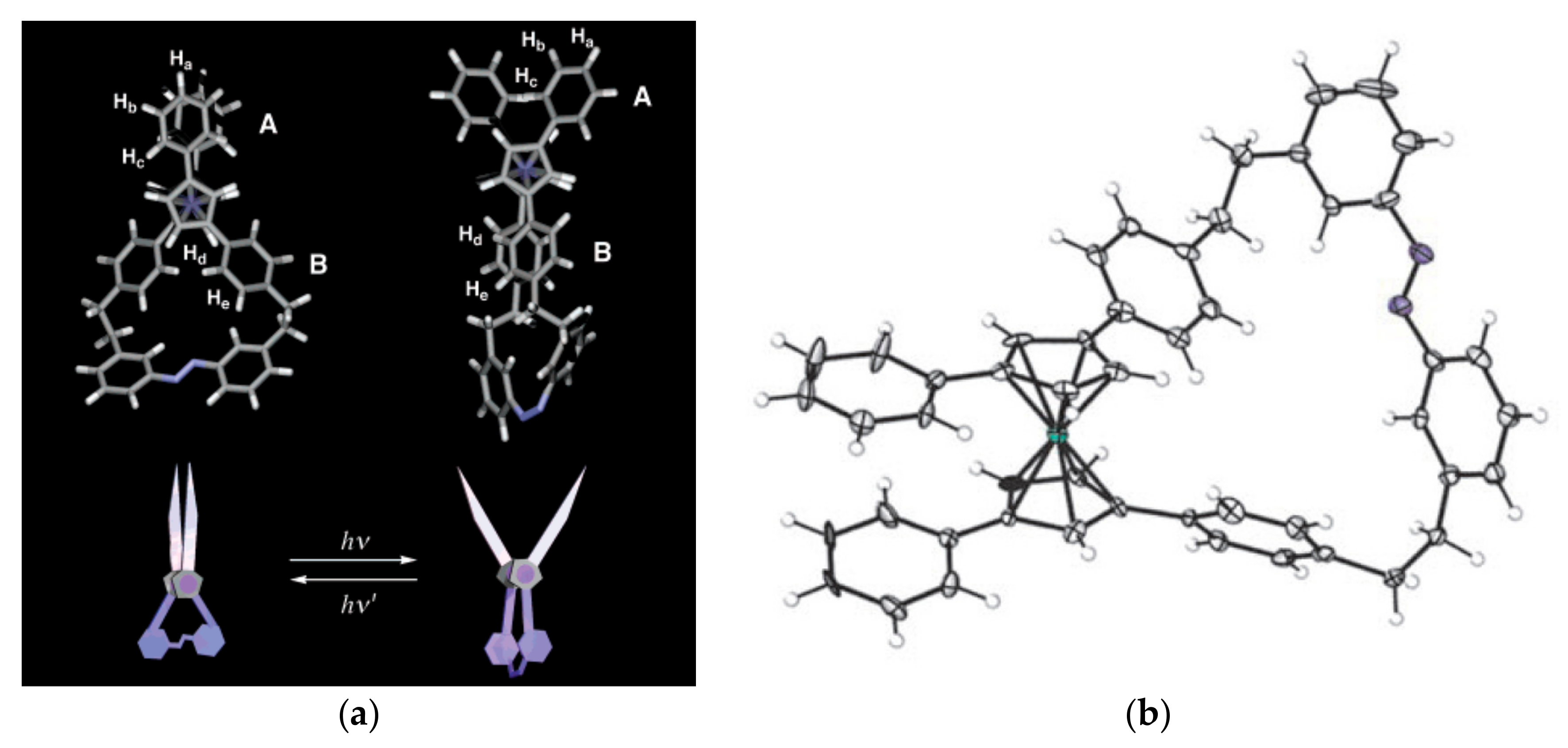 Molecules 22 02201 g013 Molecules 22 02201 g013