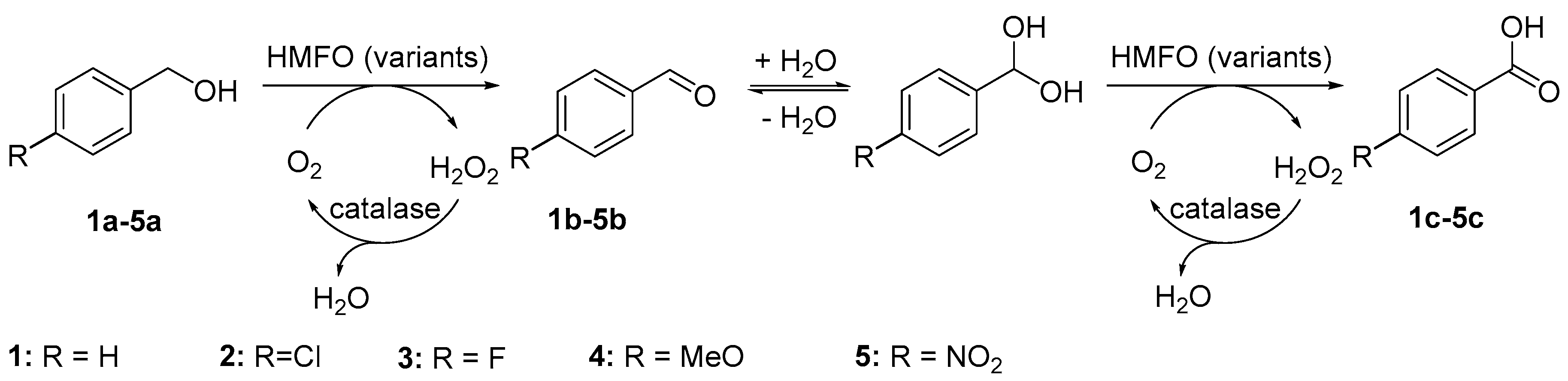 Molecules 22 02205 sch001
