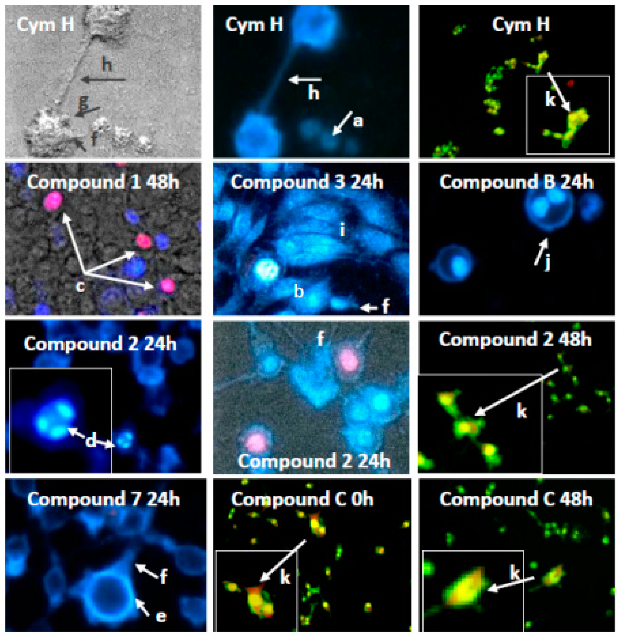 Molecules 22 02220 g005 Molecules 22 02220 g005