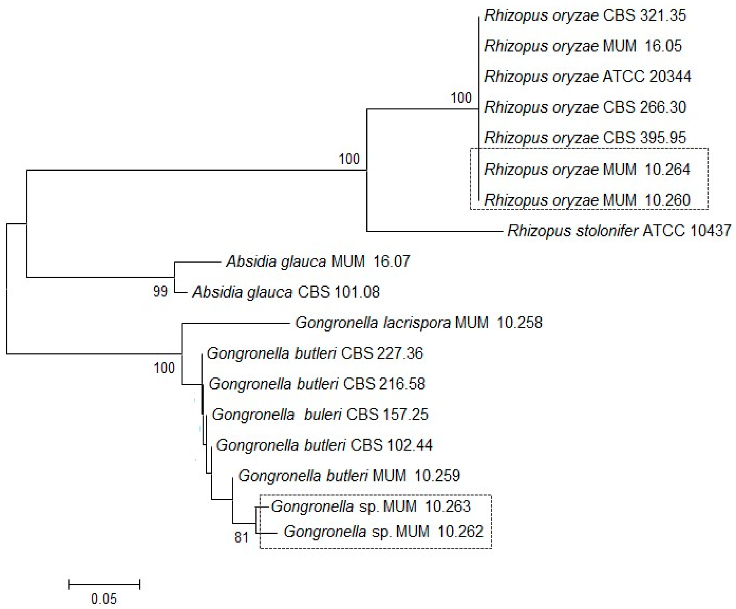 Molecules 22 02225 g001