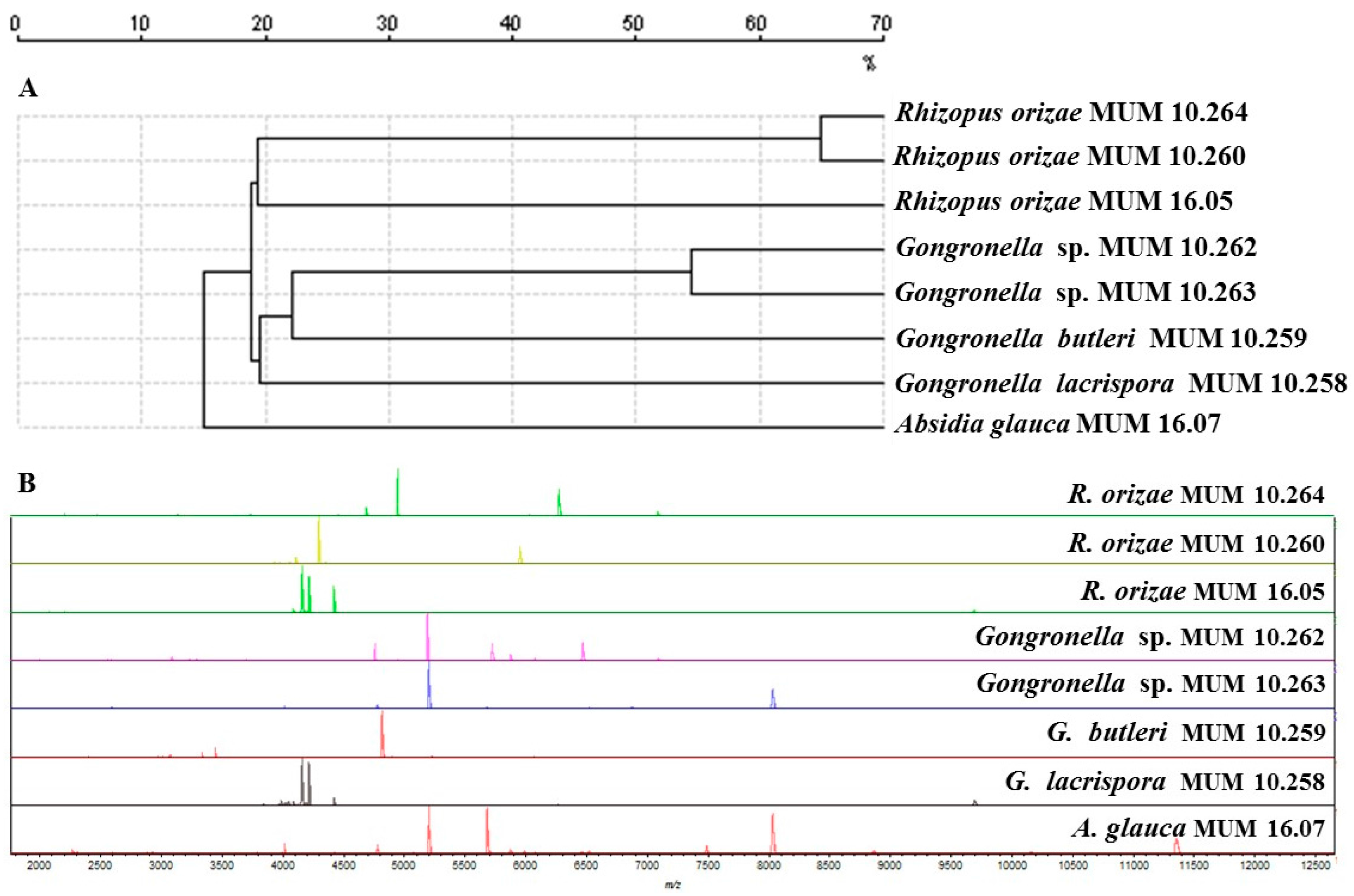 Molecules 22 02225 g002