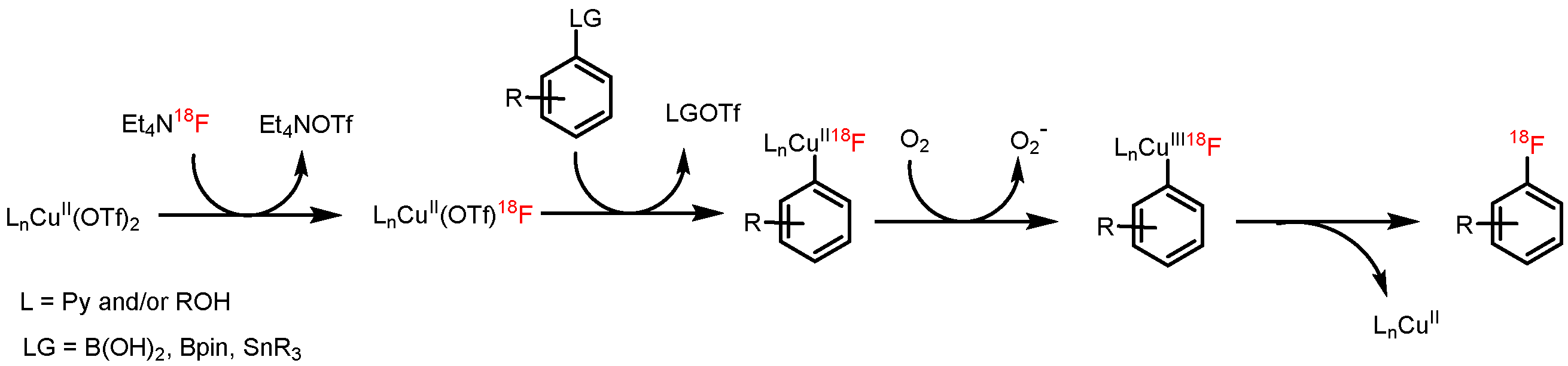 Molecules 22 02231 g005