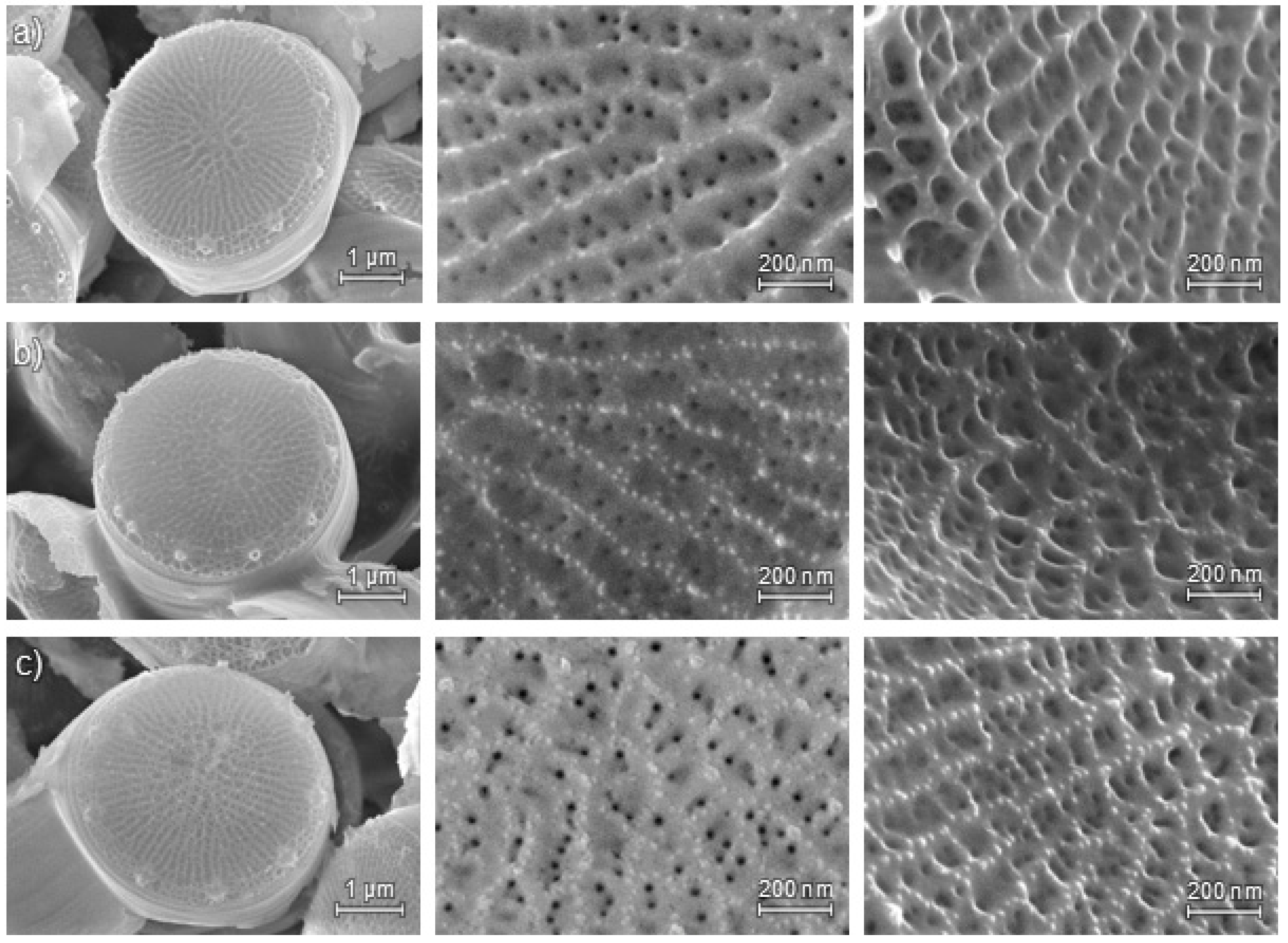 Molecules 22 02232 g001 550