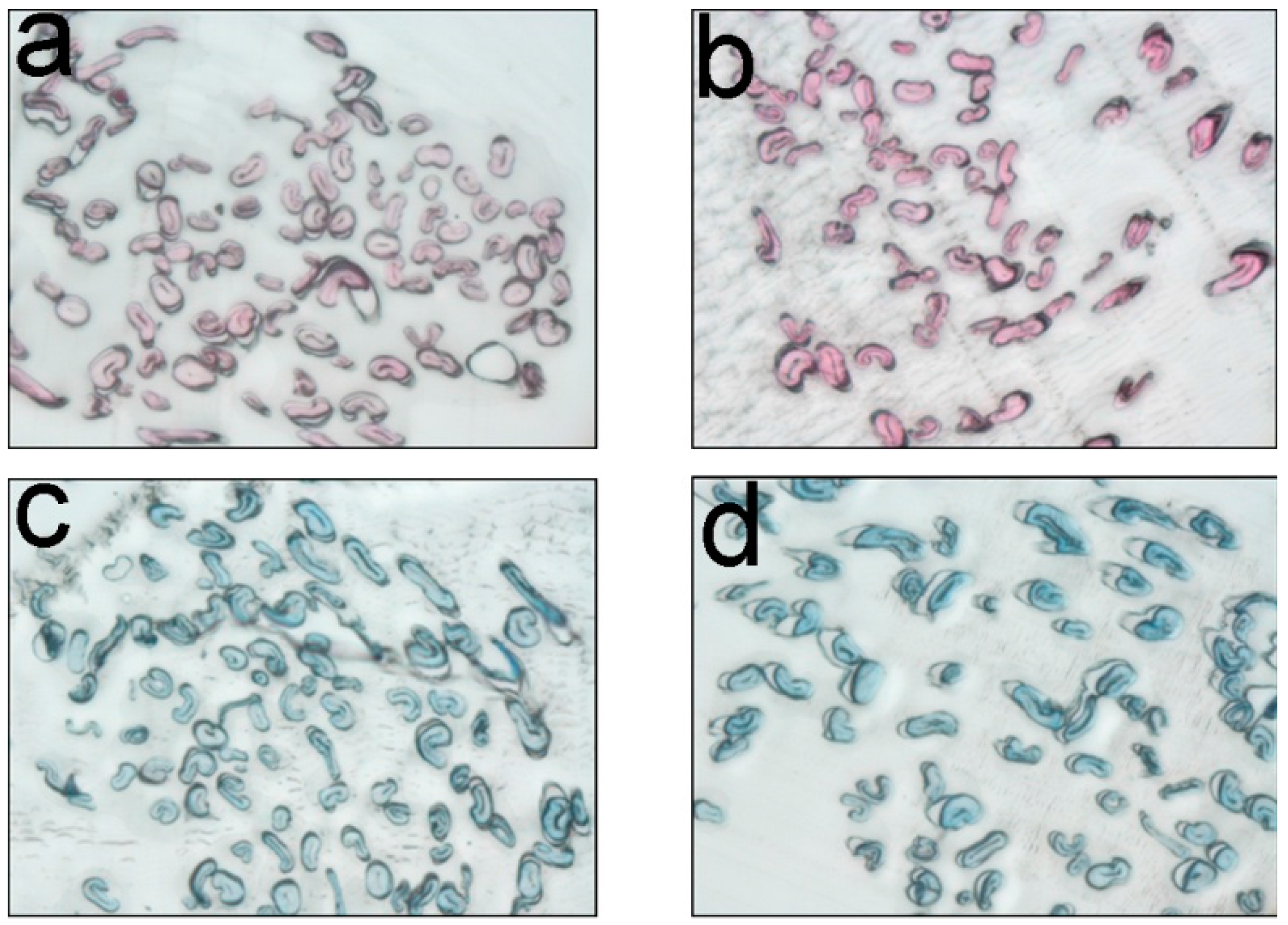 Molecules 22 02235 g010