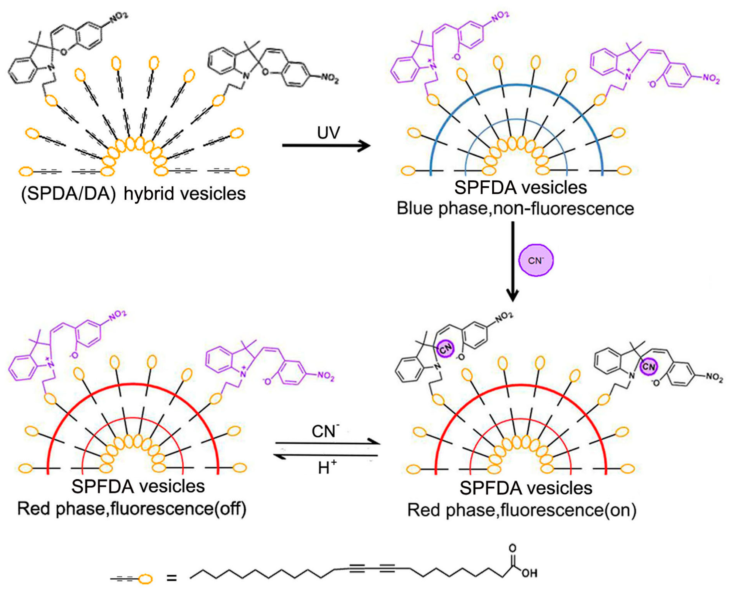 Molecules 22 02236 g003 550